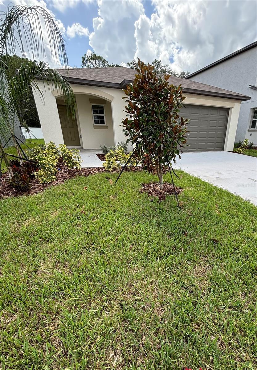 Details for 11317 Lavender Loop, SPRING HILL, FL 34609