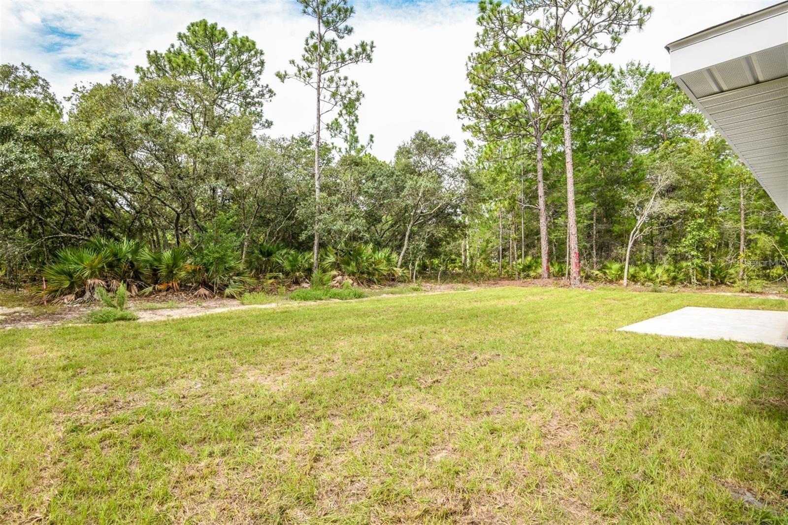 Image 31 of 37 For 1864 Swanson Drive