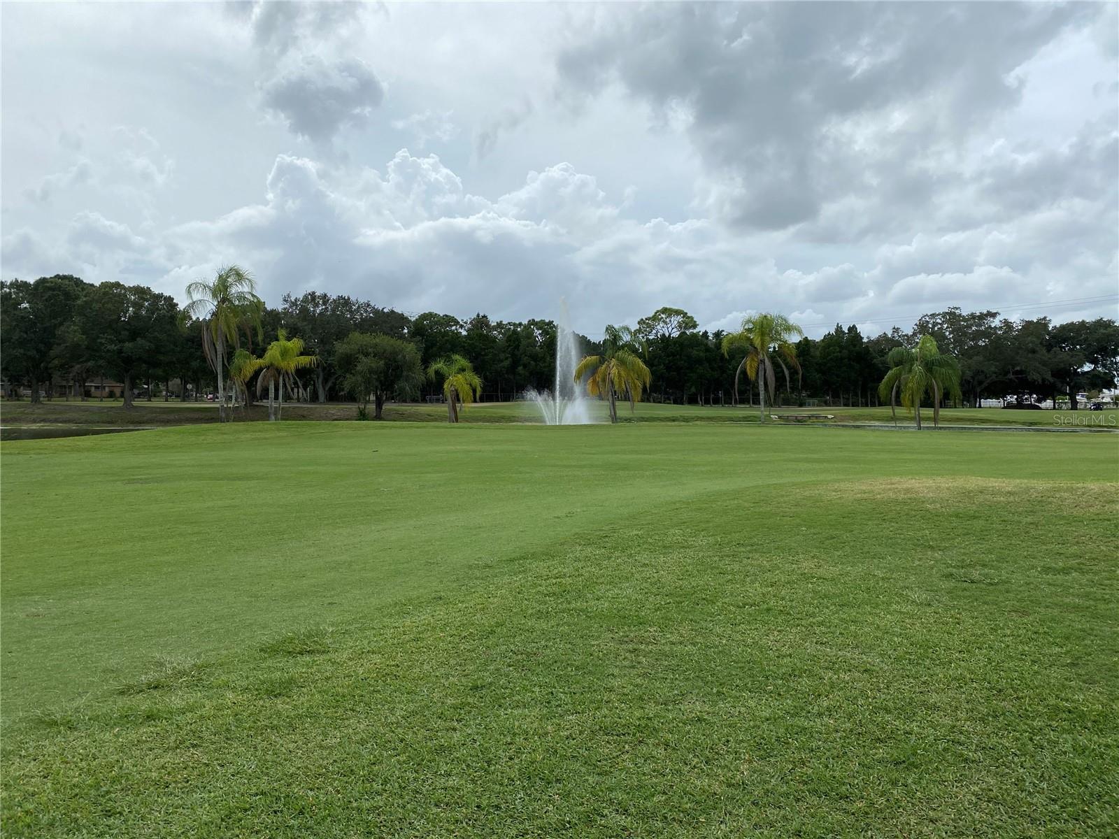 Image 20 of 21 For 800 Cove Cay Drive 5d