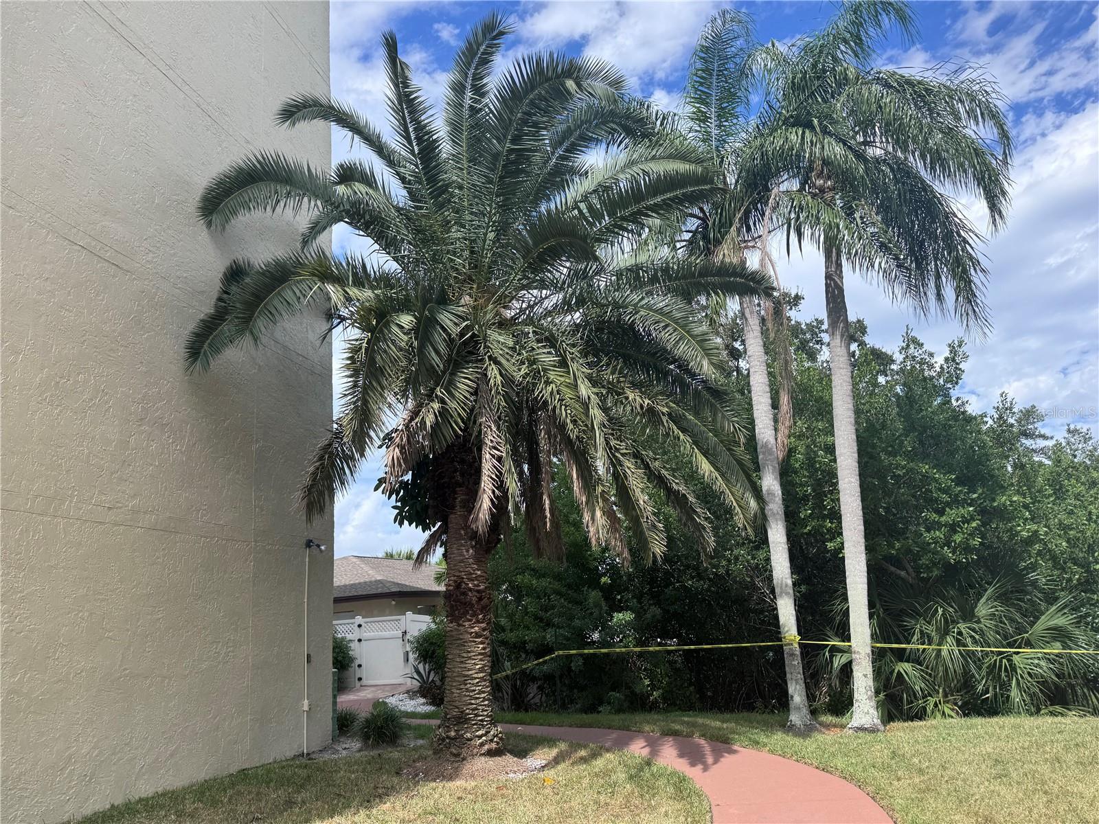 Image 33 of 38 For 800 Cove Cay Drive 5d