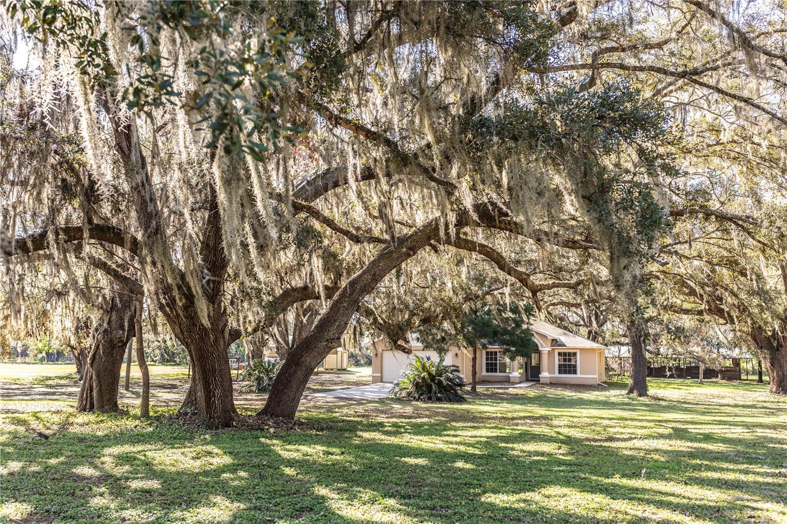 Image 6 of 100 For 26348 Crooked Tree Lane