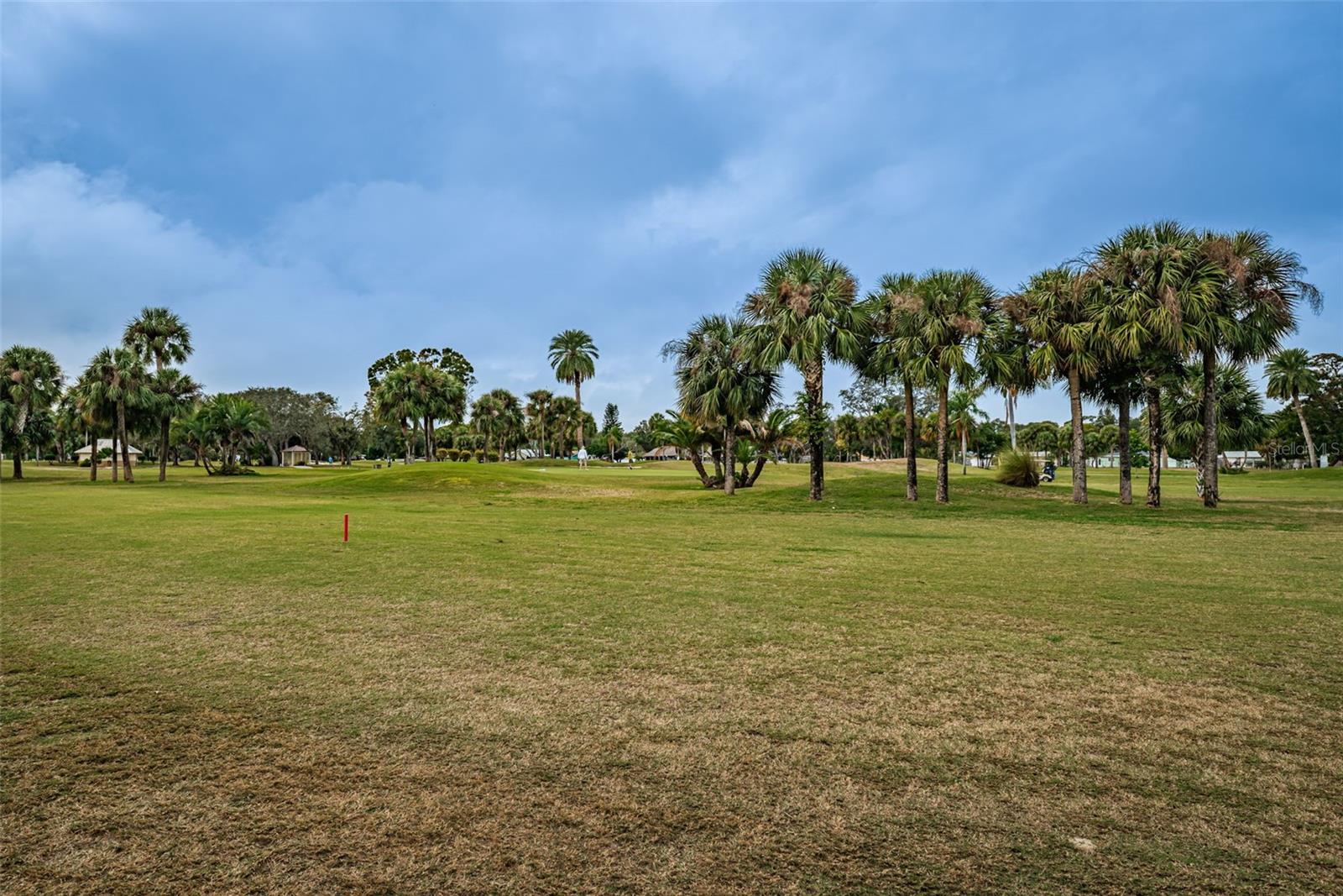 Image 80 of 83 For 13207 San Blas Loop