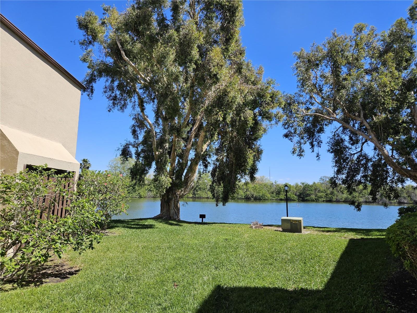 Image 2 of 23 For 770 Village Lake Terrace N 104