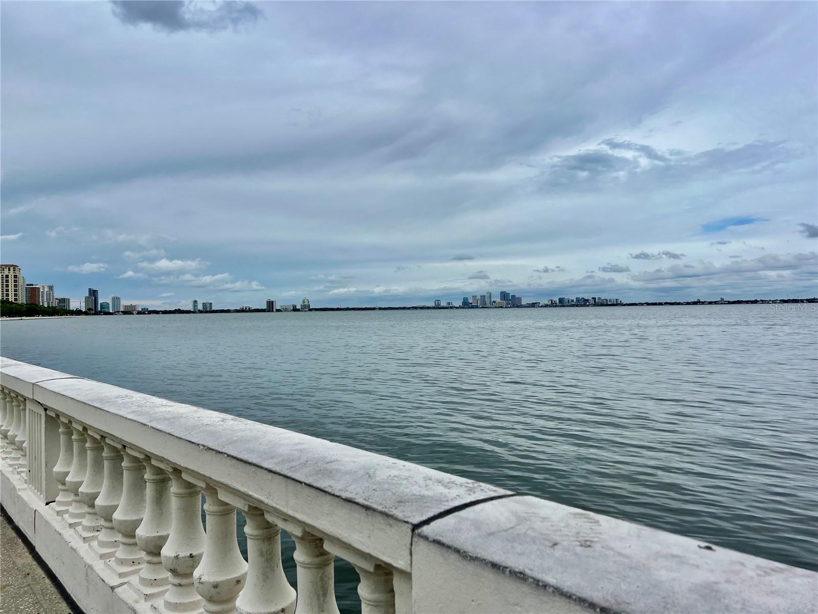 Listing photo id 13 for 5221 Bayshore Boulevard 29