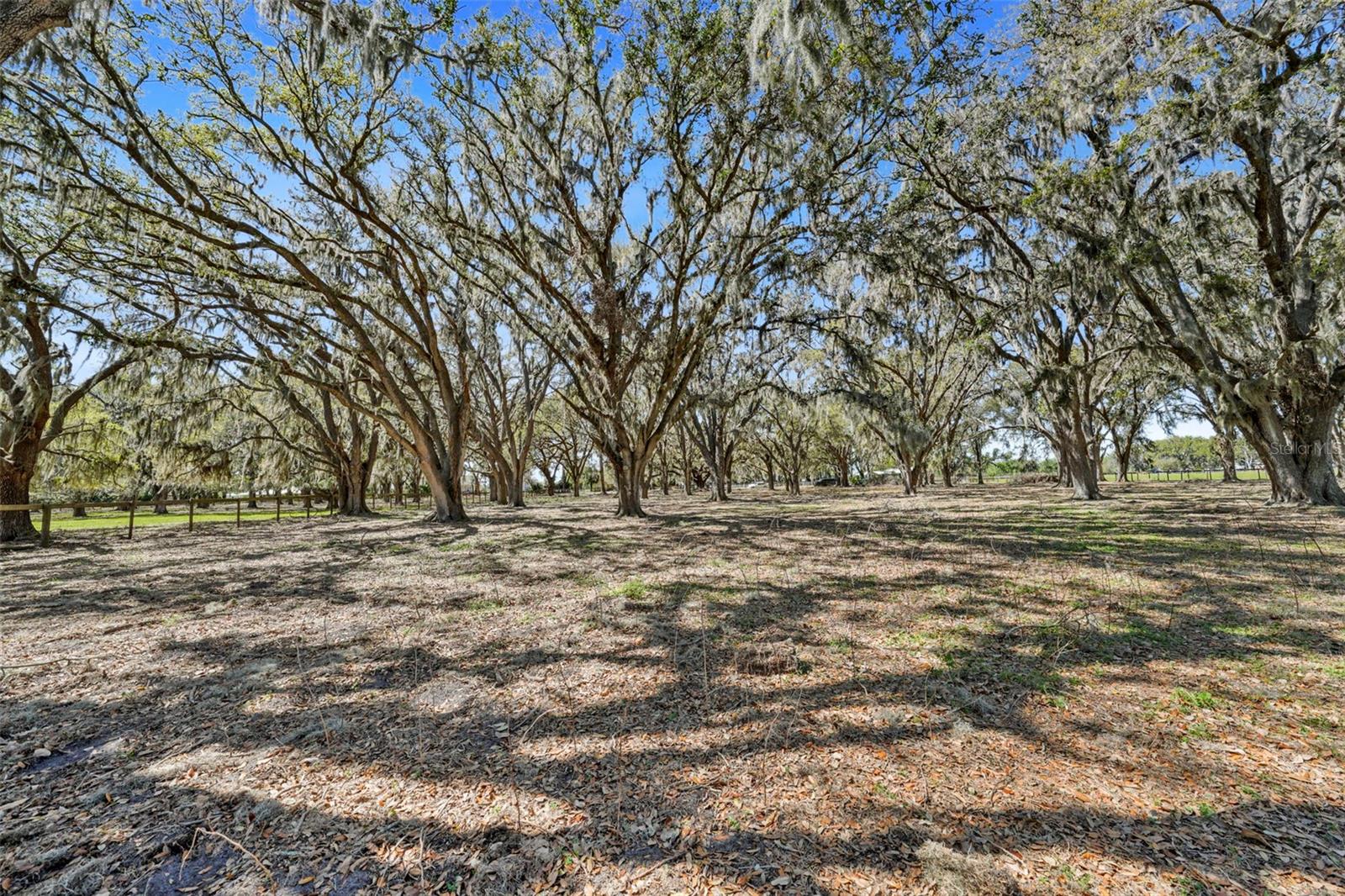 Listing photo id 66 for 808 Old Welcome Road