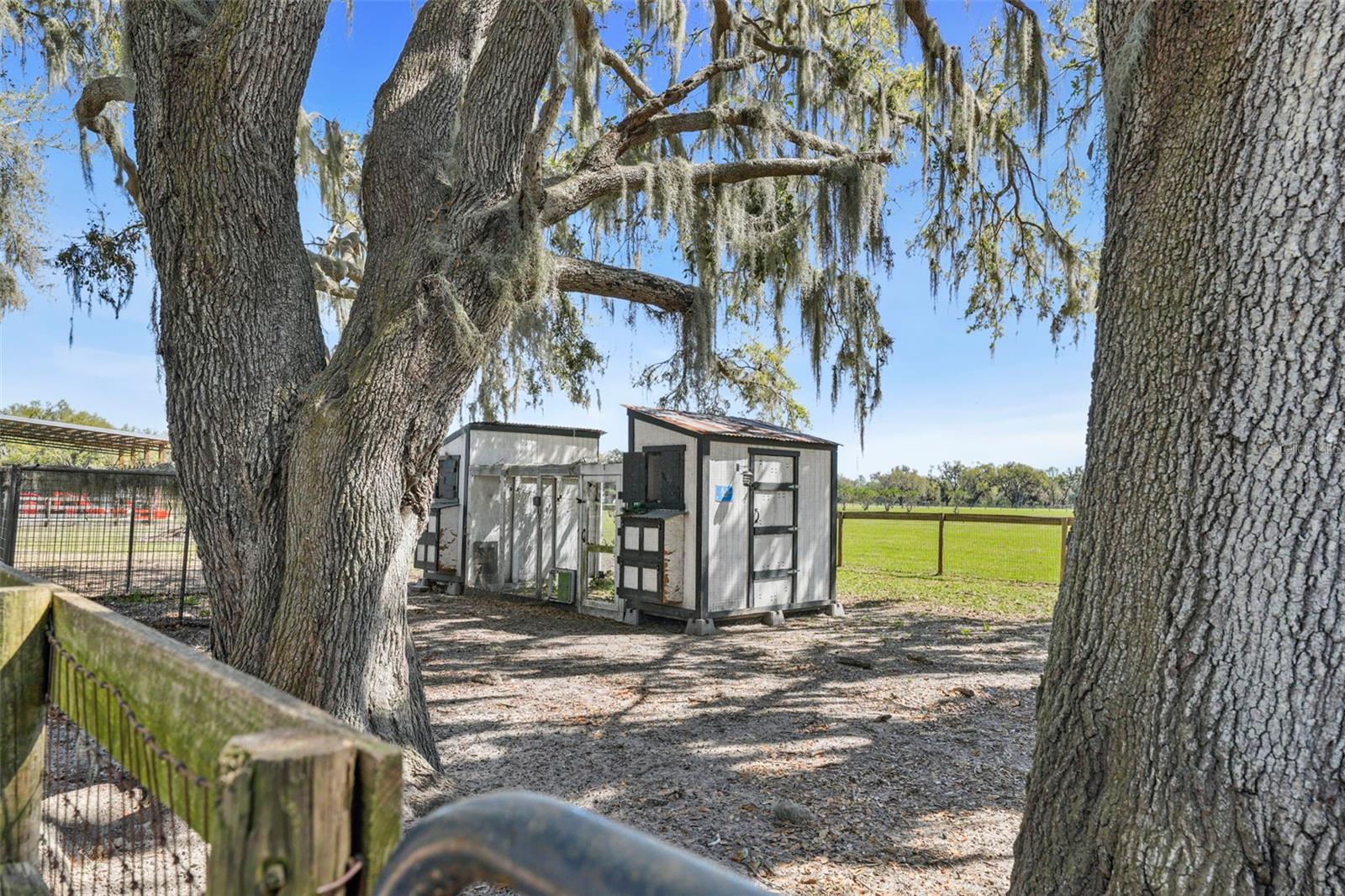 Listing photo id 74 for 808 Old Welcome Road