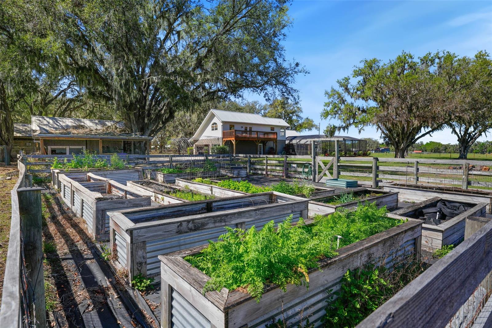 Listing photo id 77 for 808 Old Welcome Road