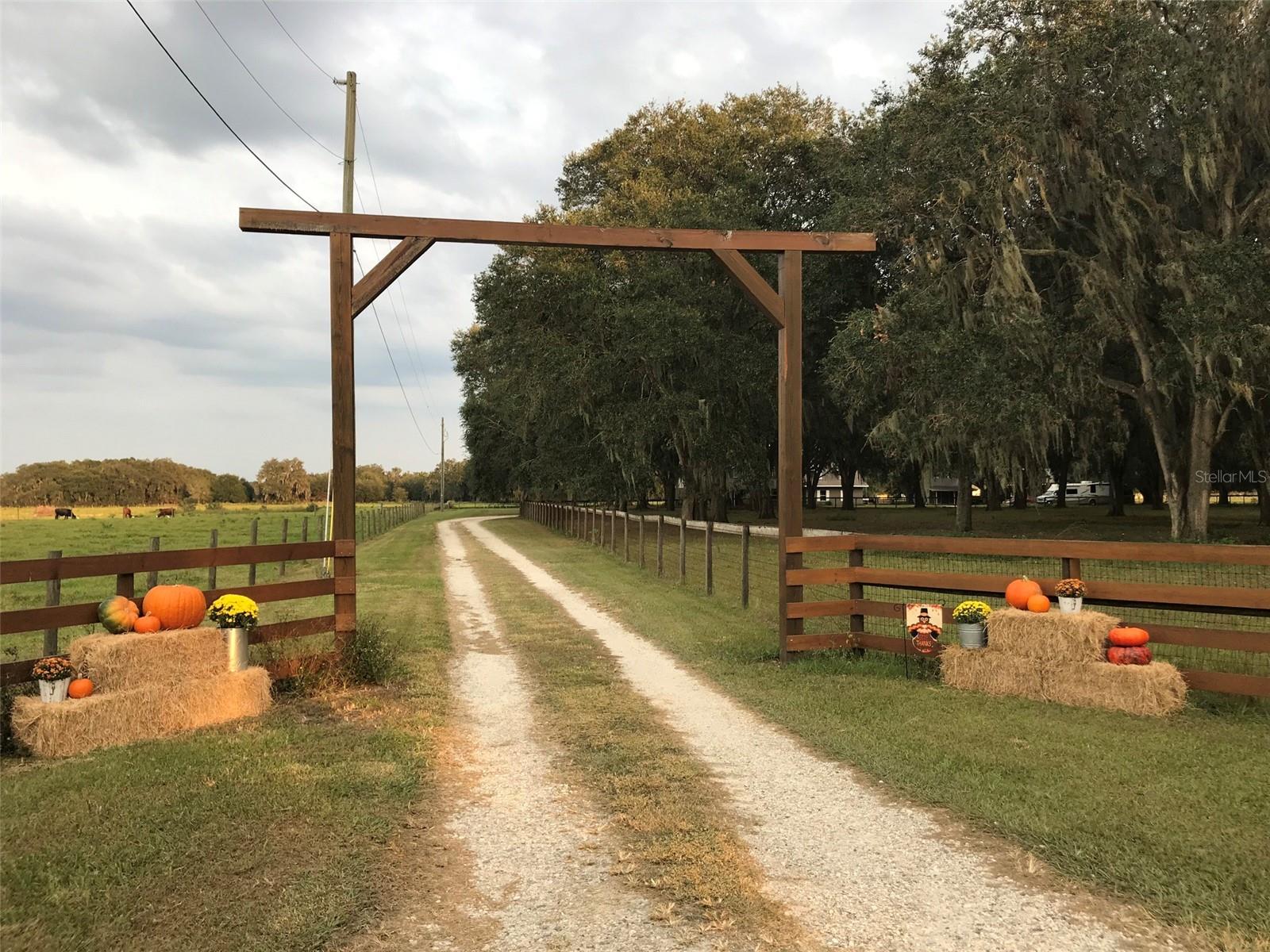 Listing photo id 90 for 808 Old Welcome Road