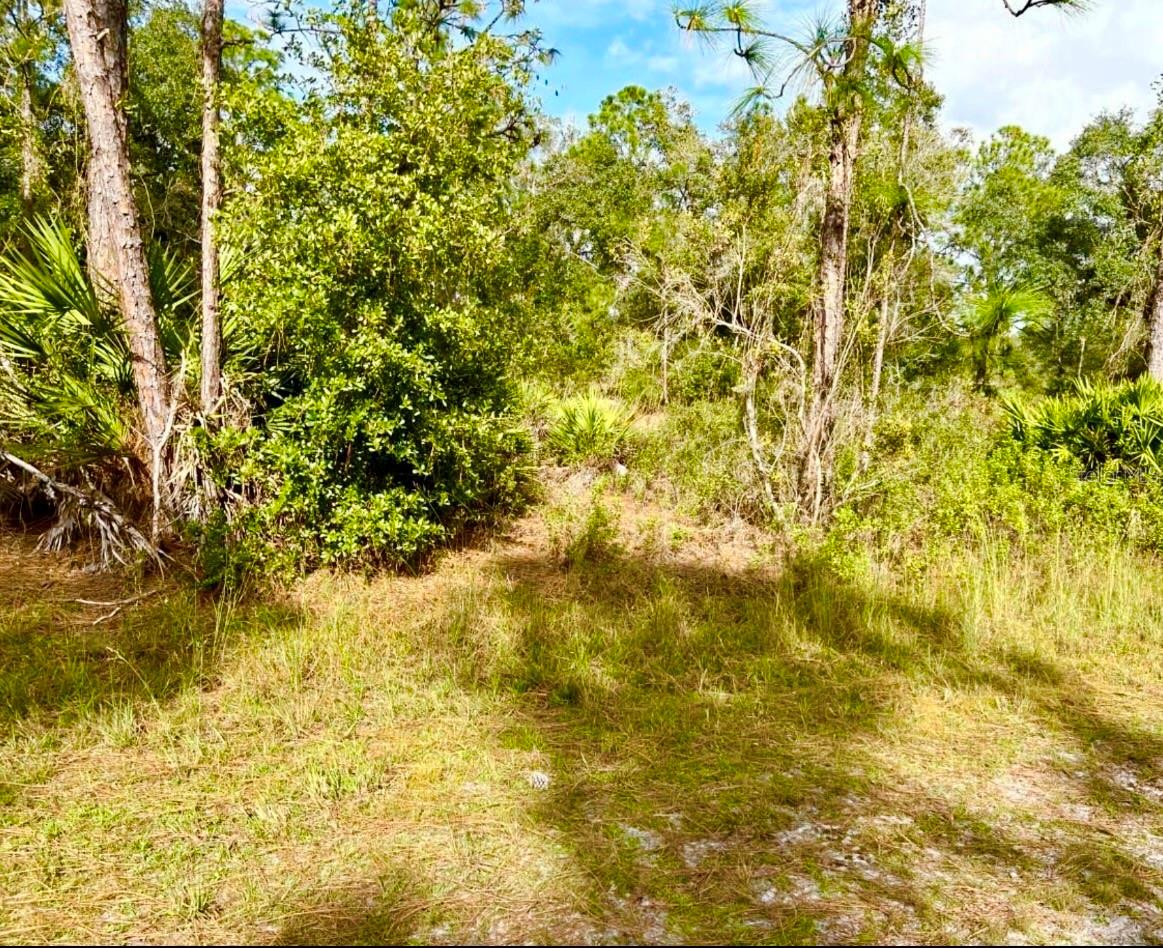 Details for Oleander Drive, INDIAN LAKE ESTATES, FL 33855