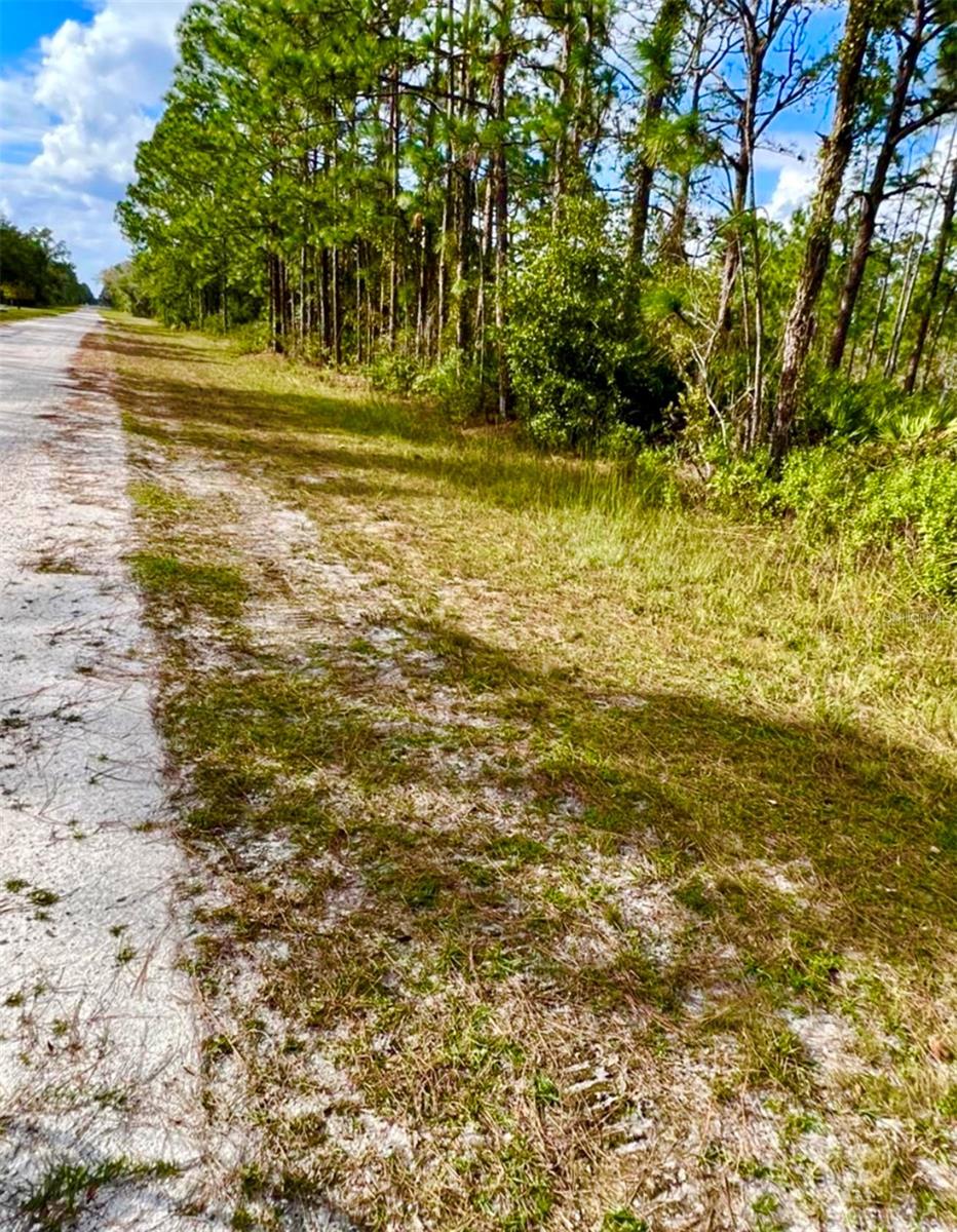Image 3 of 3 For Oleander Drive