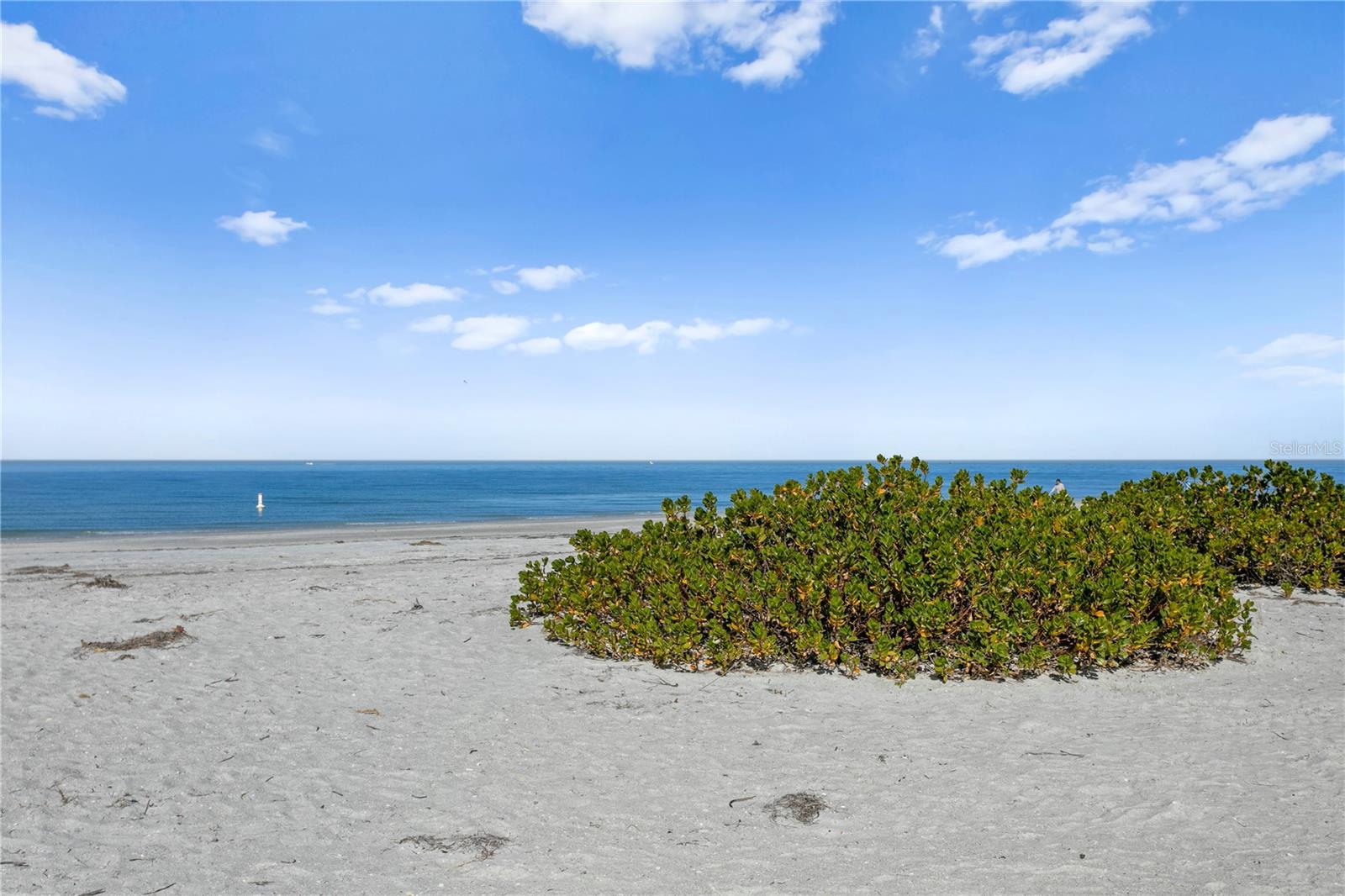 Image 47 of 50 For 1180 Gulf Boulevard 1604