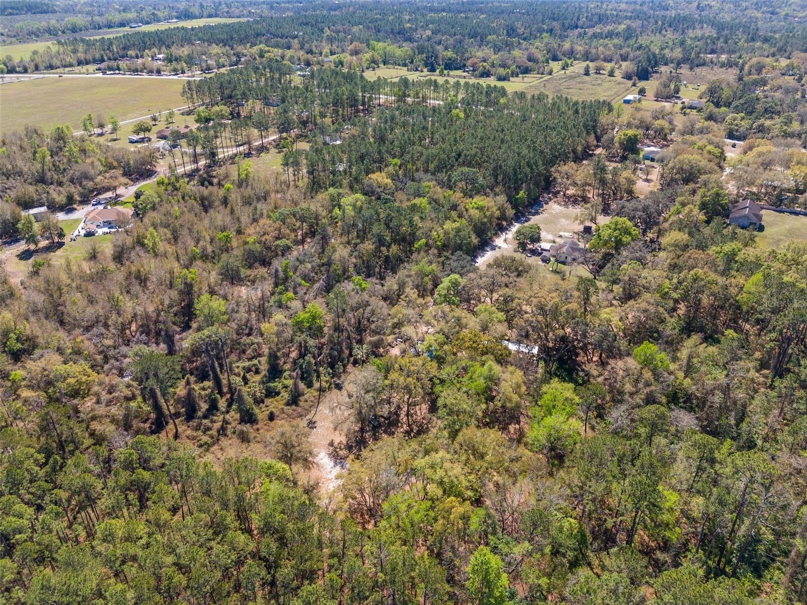 Image 13 of 14 For 22295 Powell Road
