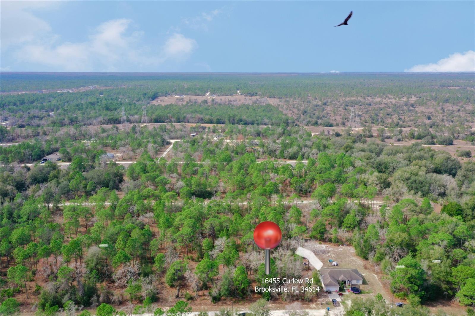 Image 4 of 7 For 16455 Curlew Road