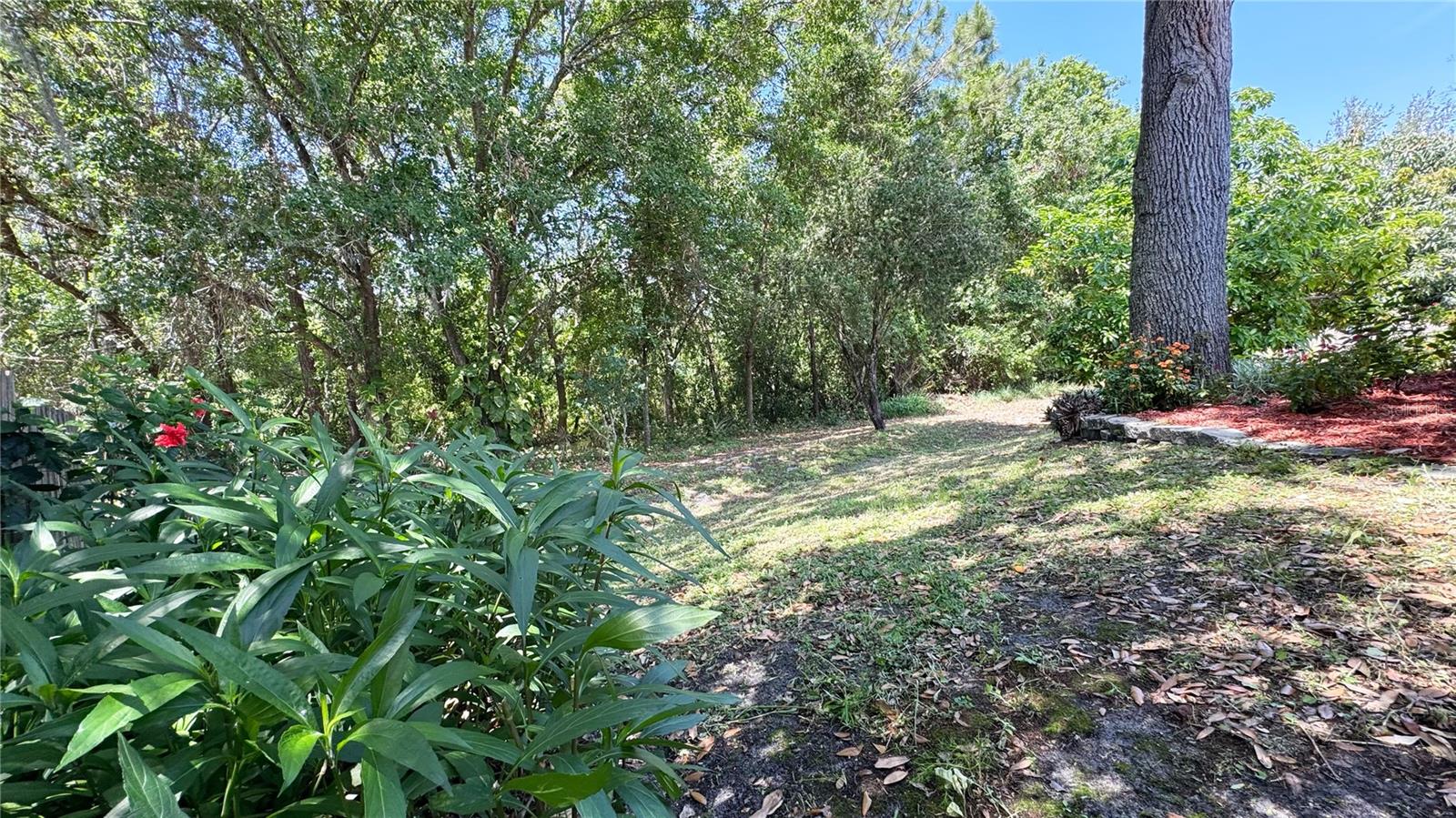 Image 22 of 28 For 2076 Whispering Trails Boulevard