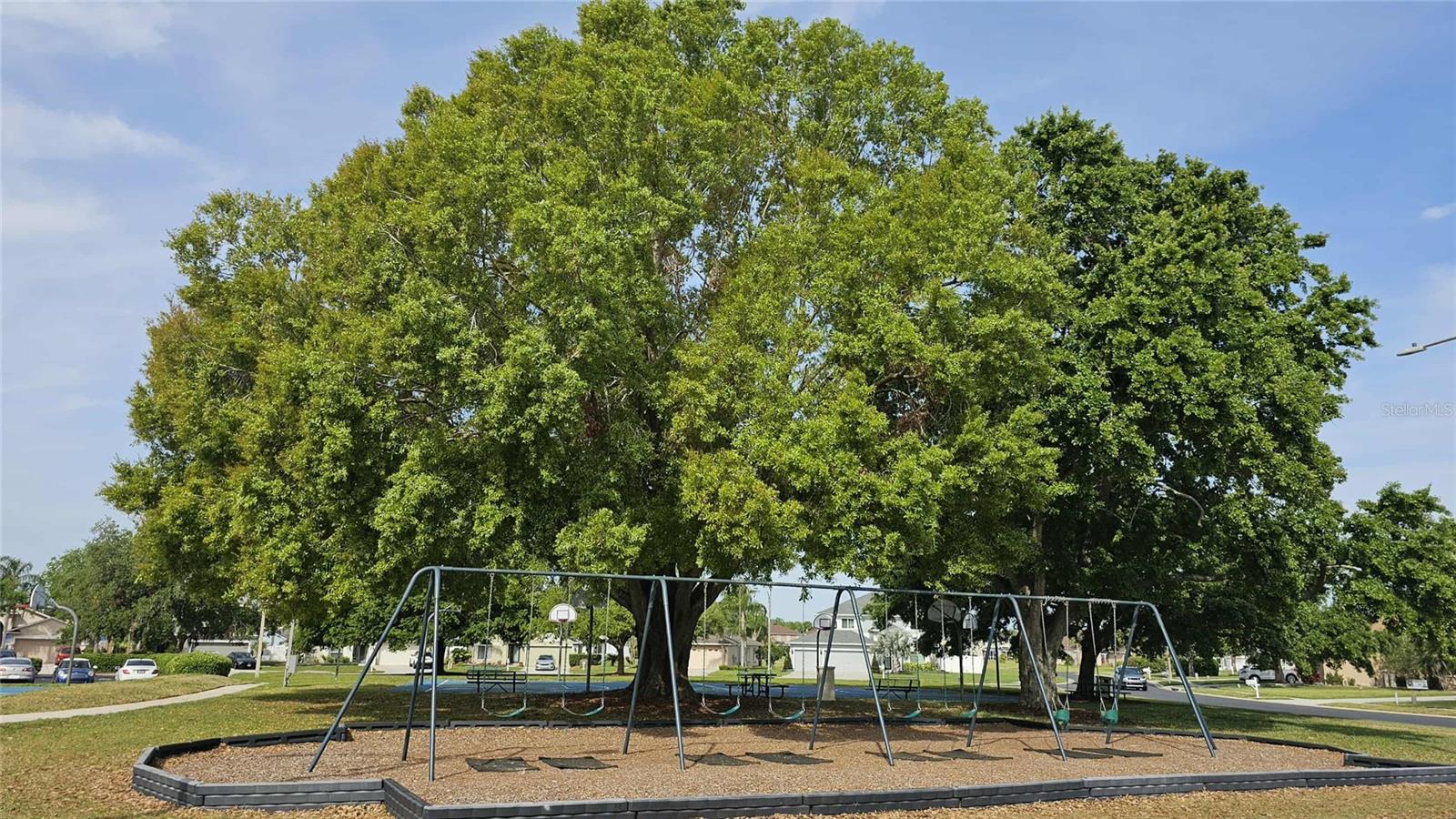 Image 72 of 82 For 25631 Bruford Boulevard