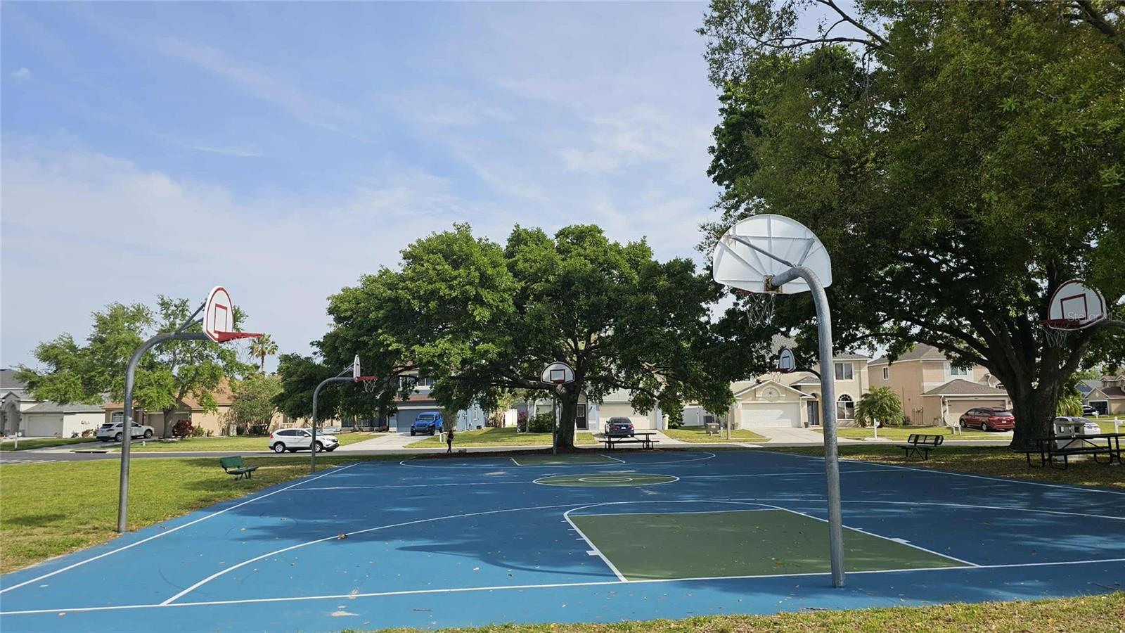 Image 74 of 82 For 25631 Bruford Boulevard