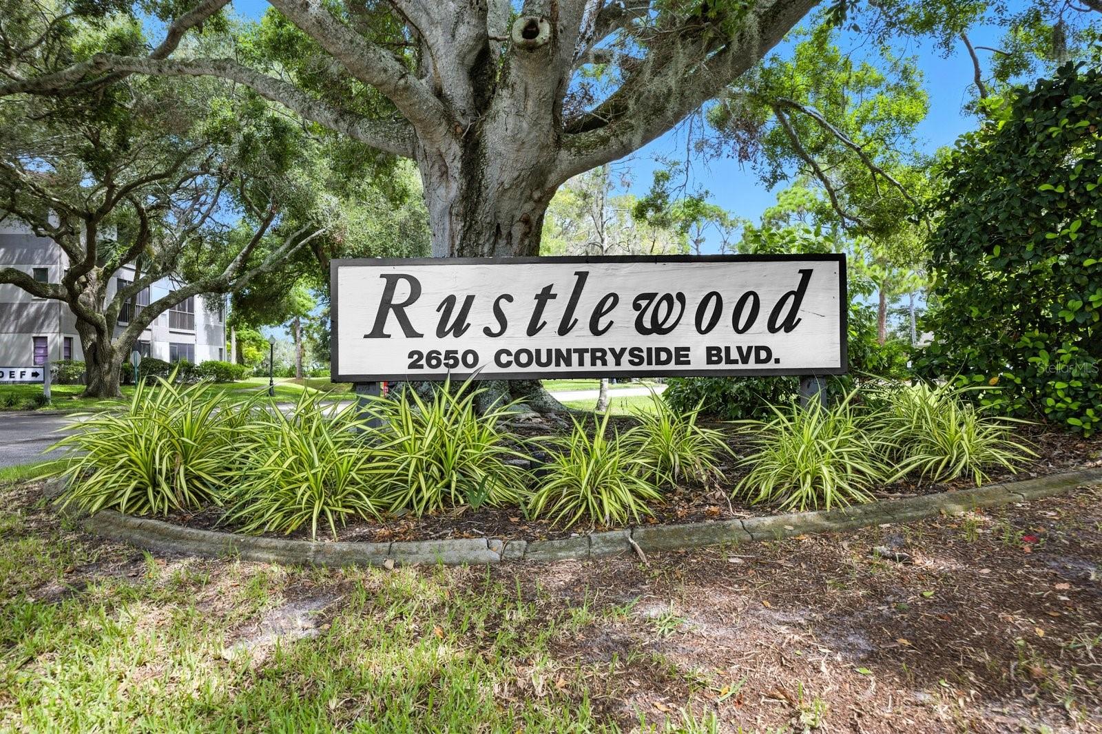 Image 38 of 42 For 2650 Countryside Boulevard B102