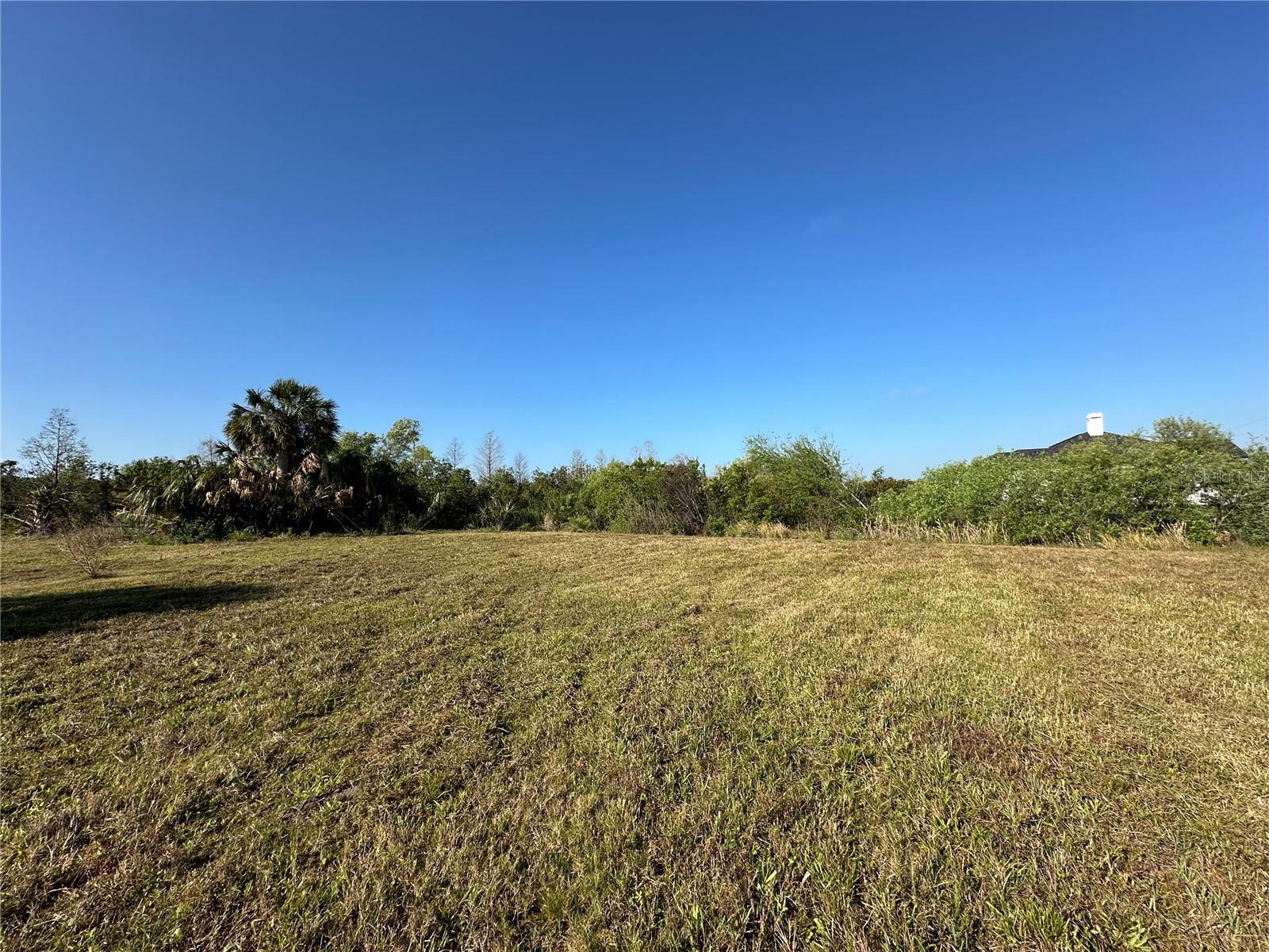 Image 12 of 14 For Smilodon Trail