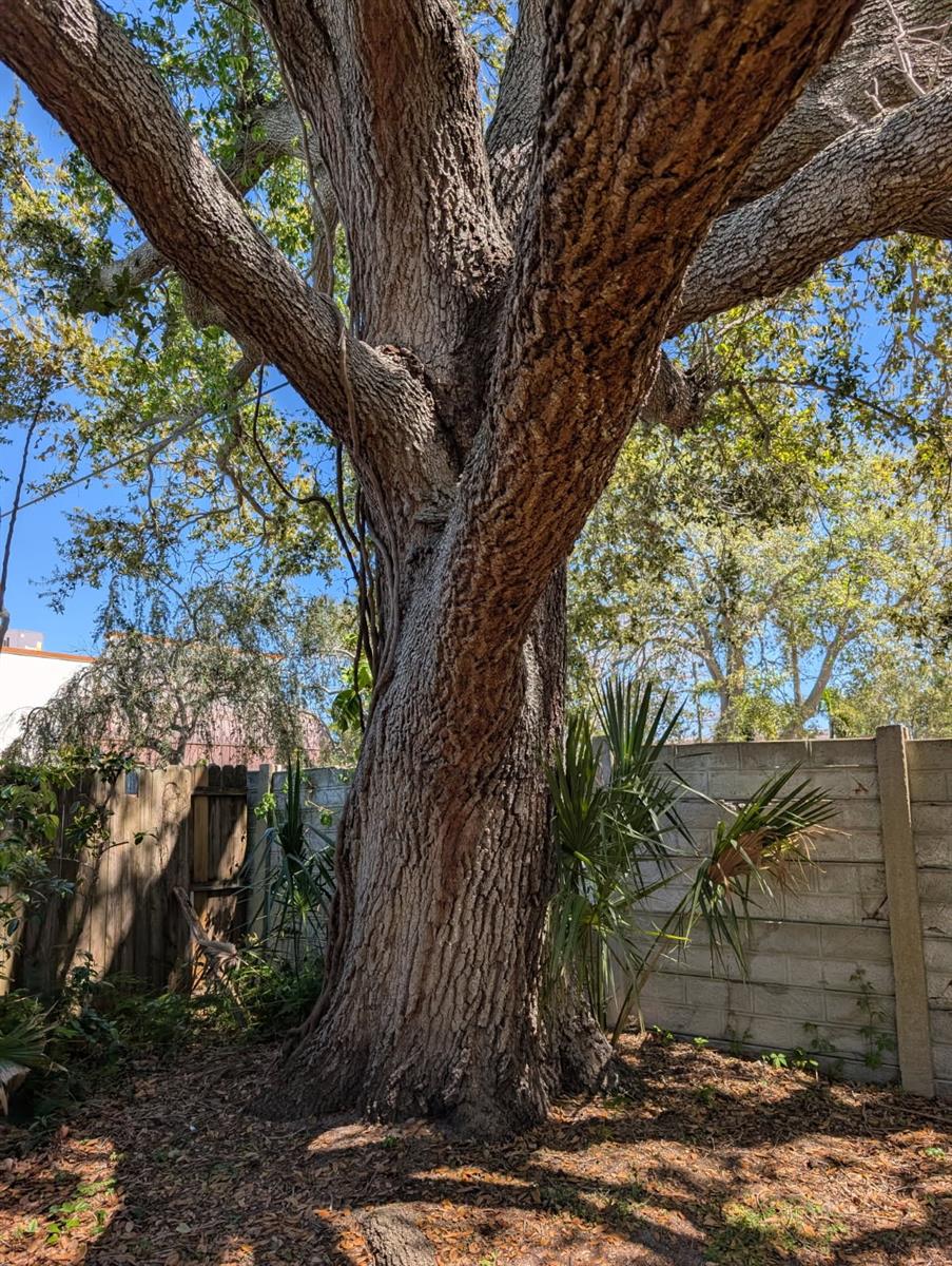 Image 8 of 8 For 807 Glen Oak Avenue E