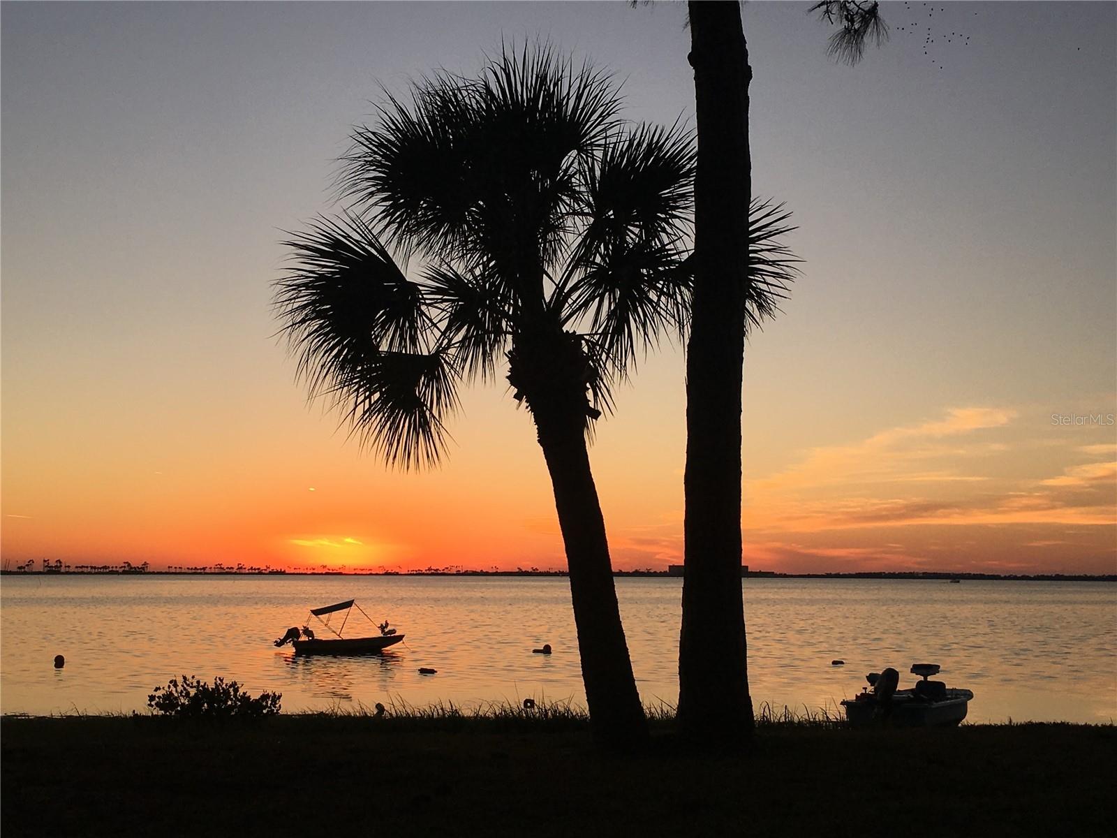 Image 62 of 63 For 2700 Bayshore Blvd #561