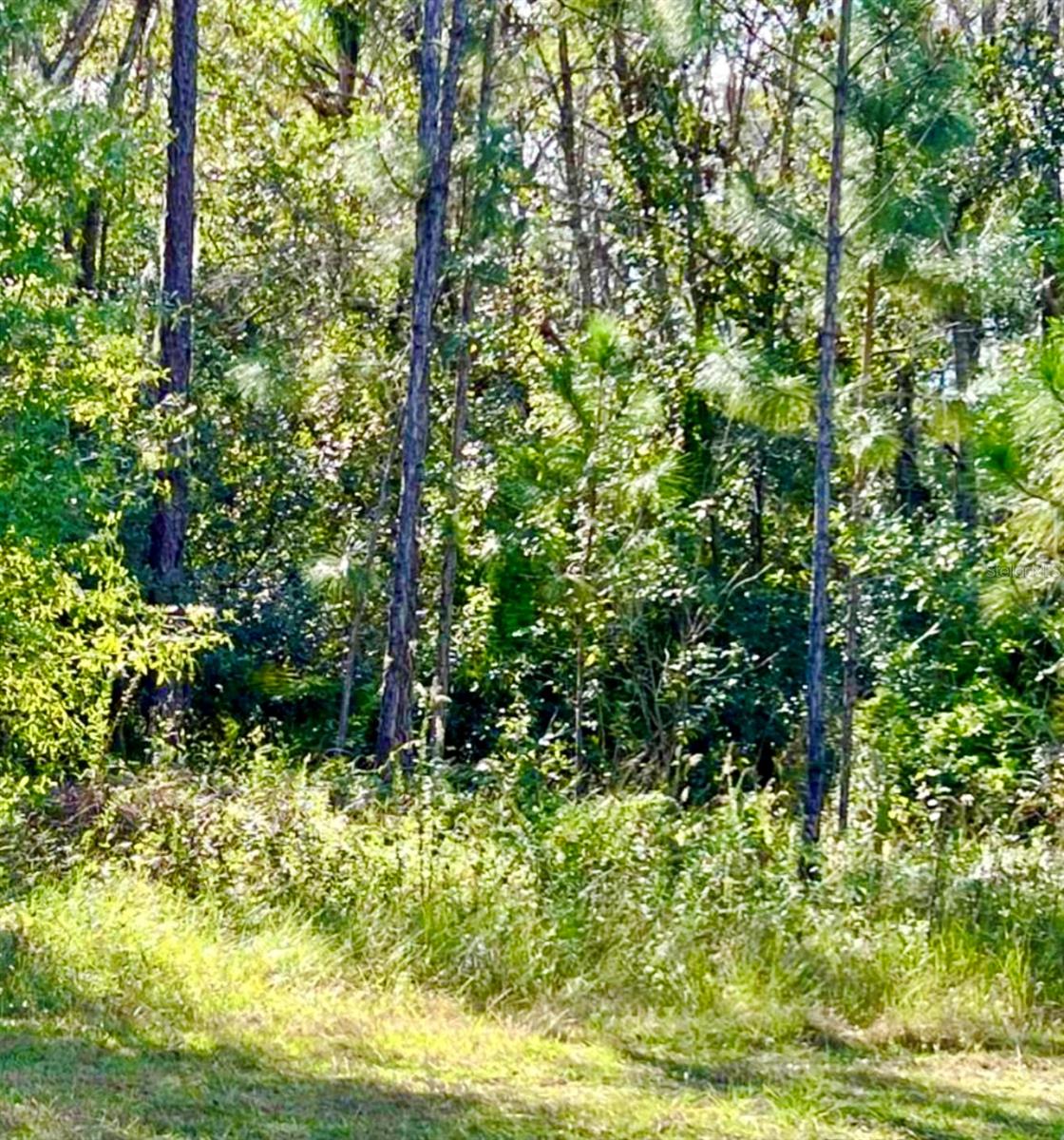 Image 2 of 4 For 1011 Indian Lake Drive