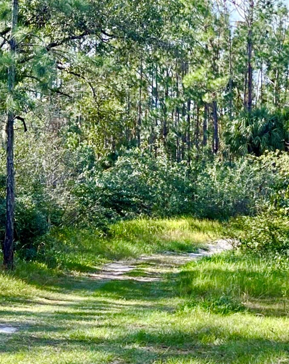 Image 3 of 4 For 1011 Indian Lake Drive