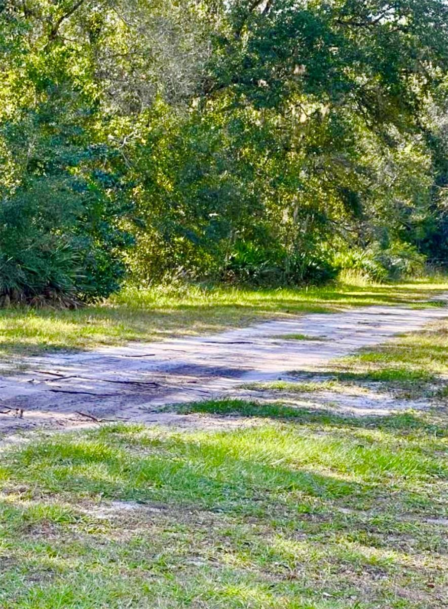 Image 4 of 4 For 1011 Indian Lake Drive