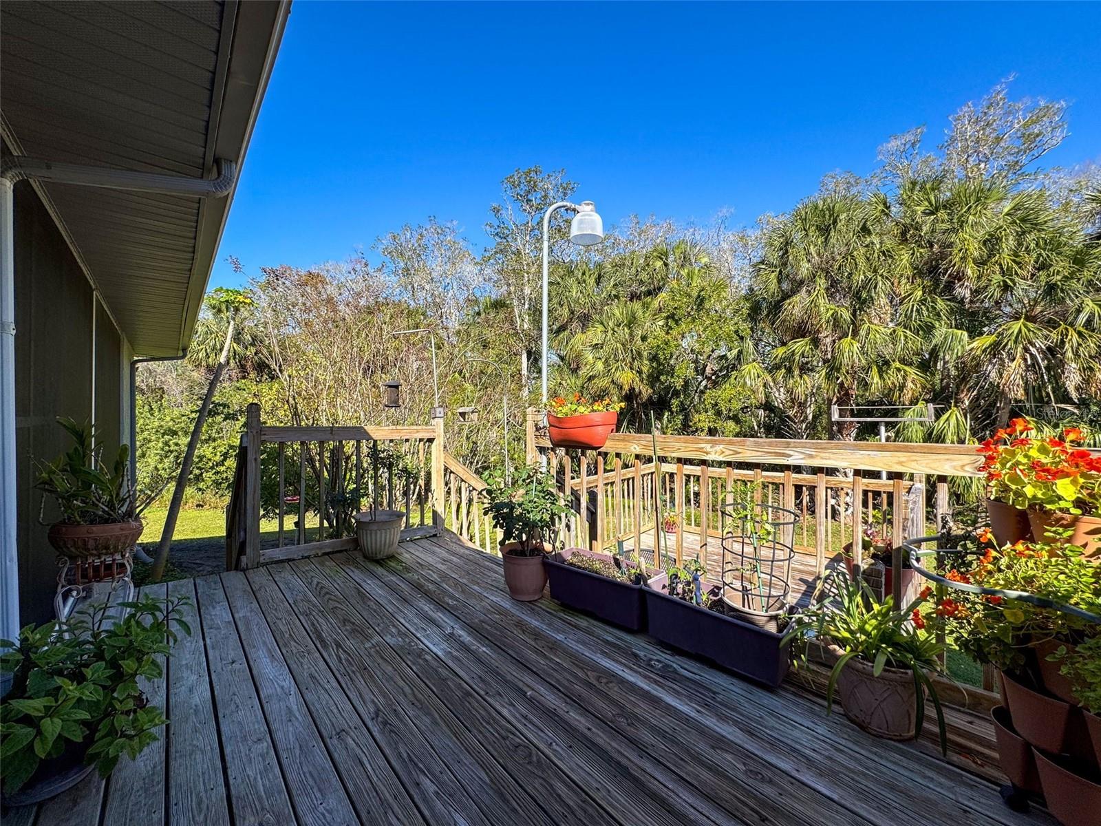 Image 39 of 62 For 8437 Indies Drive
