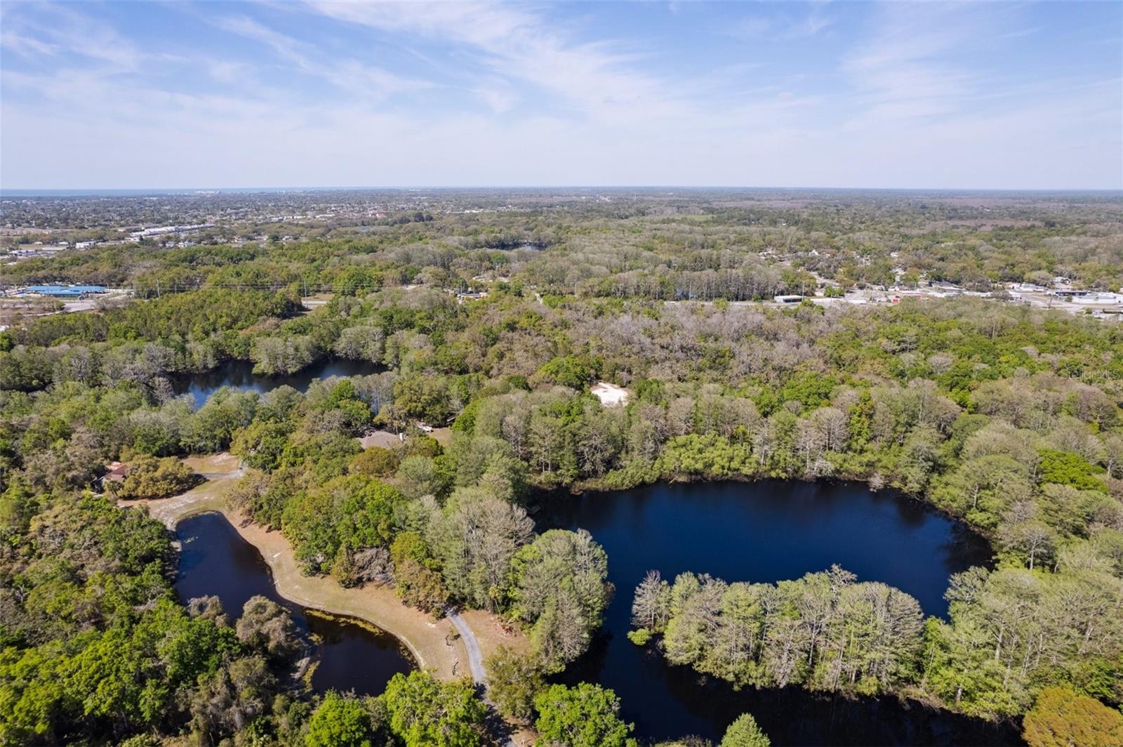 Image 85 of 90 For 8823 Crescent Forest Boulevard