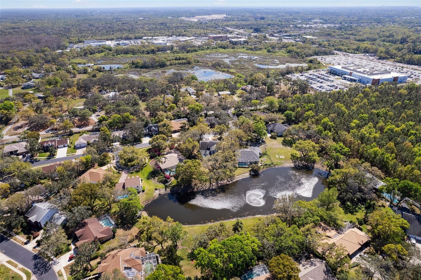 Image 87 of 90 For 8823 Crescent Forest Boulevard