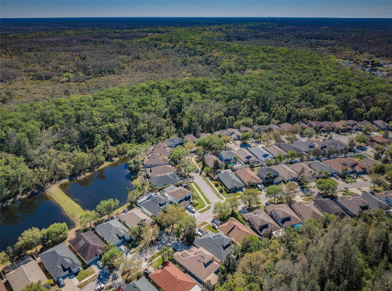 Image 8 of 99 For 15925 Pond Rush Court