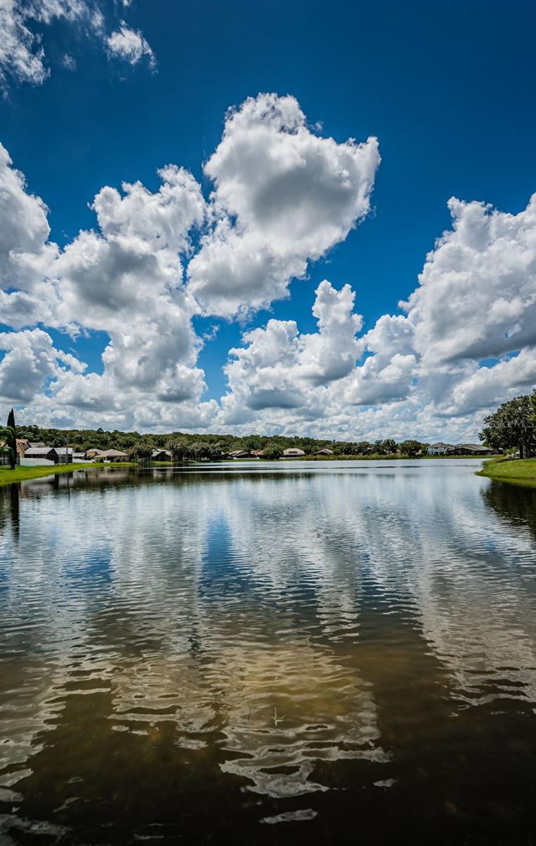 Image 93 of 99 For 15925 Pond Rush Court