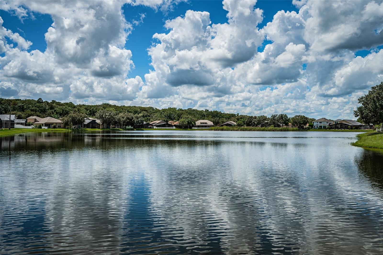 Image 94 of 99 For 15925 Pond Rush Court