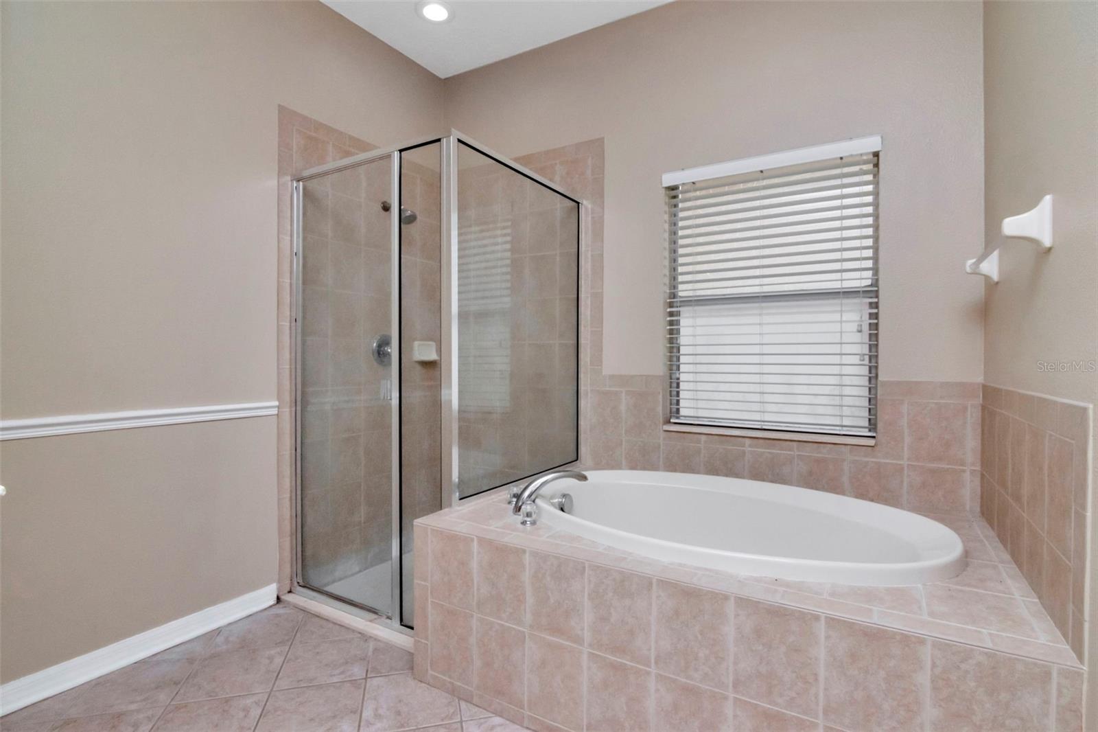 Image 40 of 50 For 9613 Jasmine Brook Creek