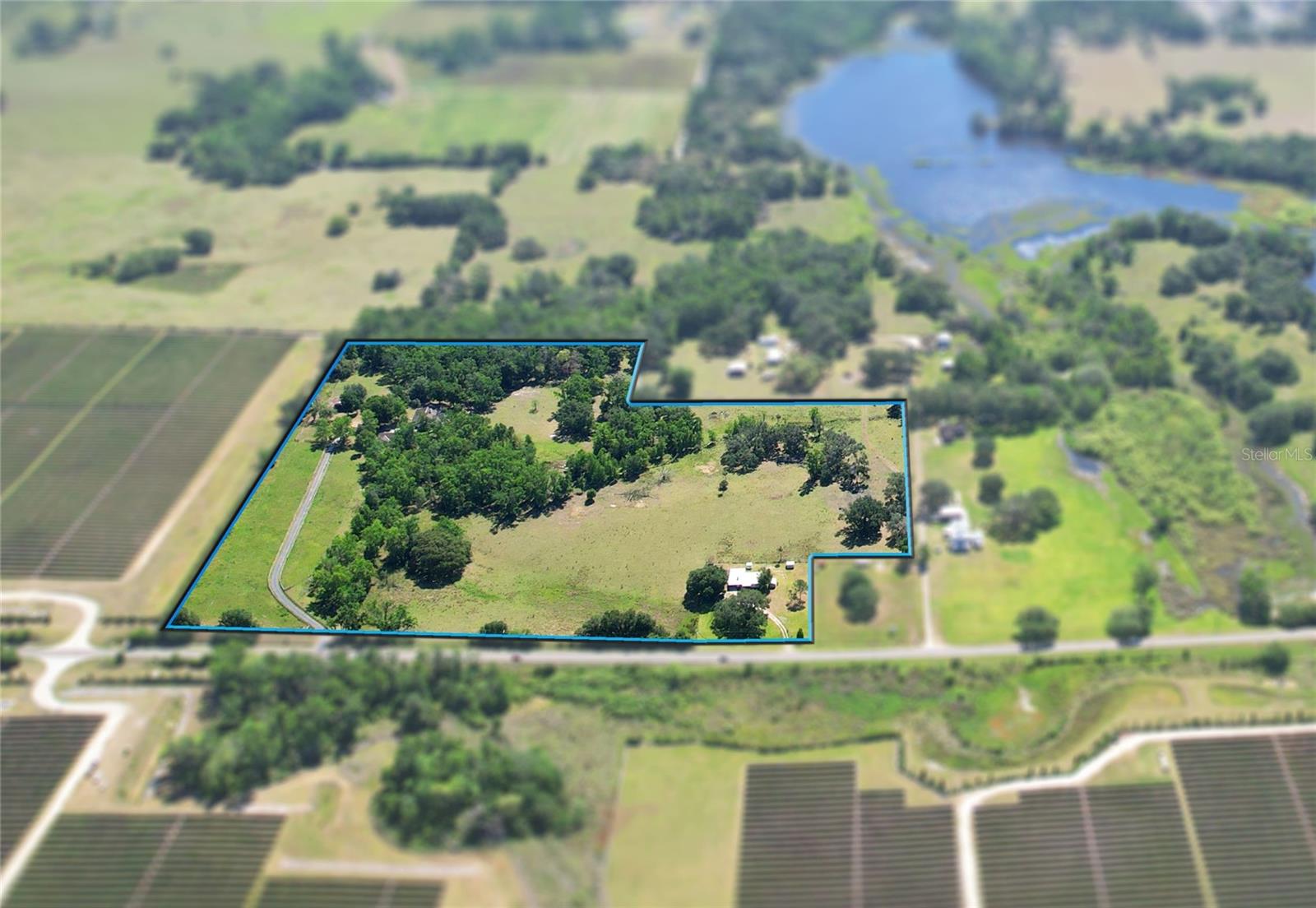 Listing photo id 8 for 36641 Blanton Road
