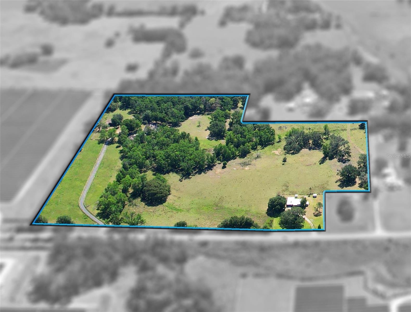 Listing photo id 9 for 36641 Blanton Road