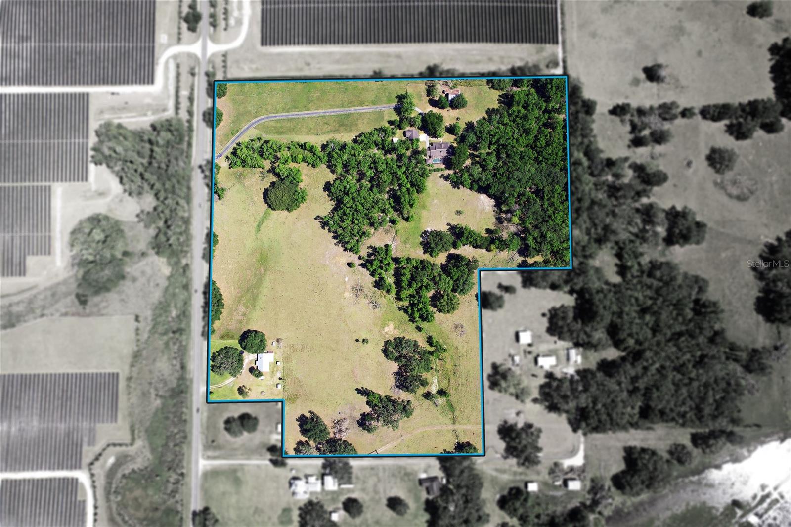 Listing photo id 10 for 36641 Blanton Road