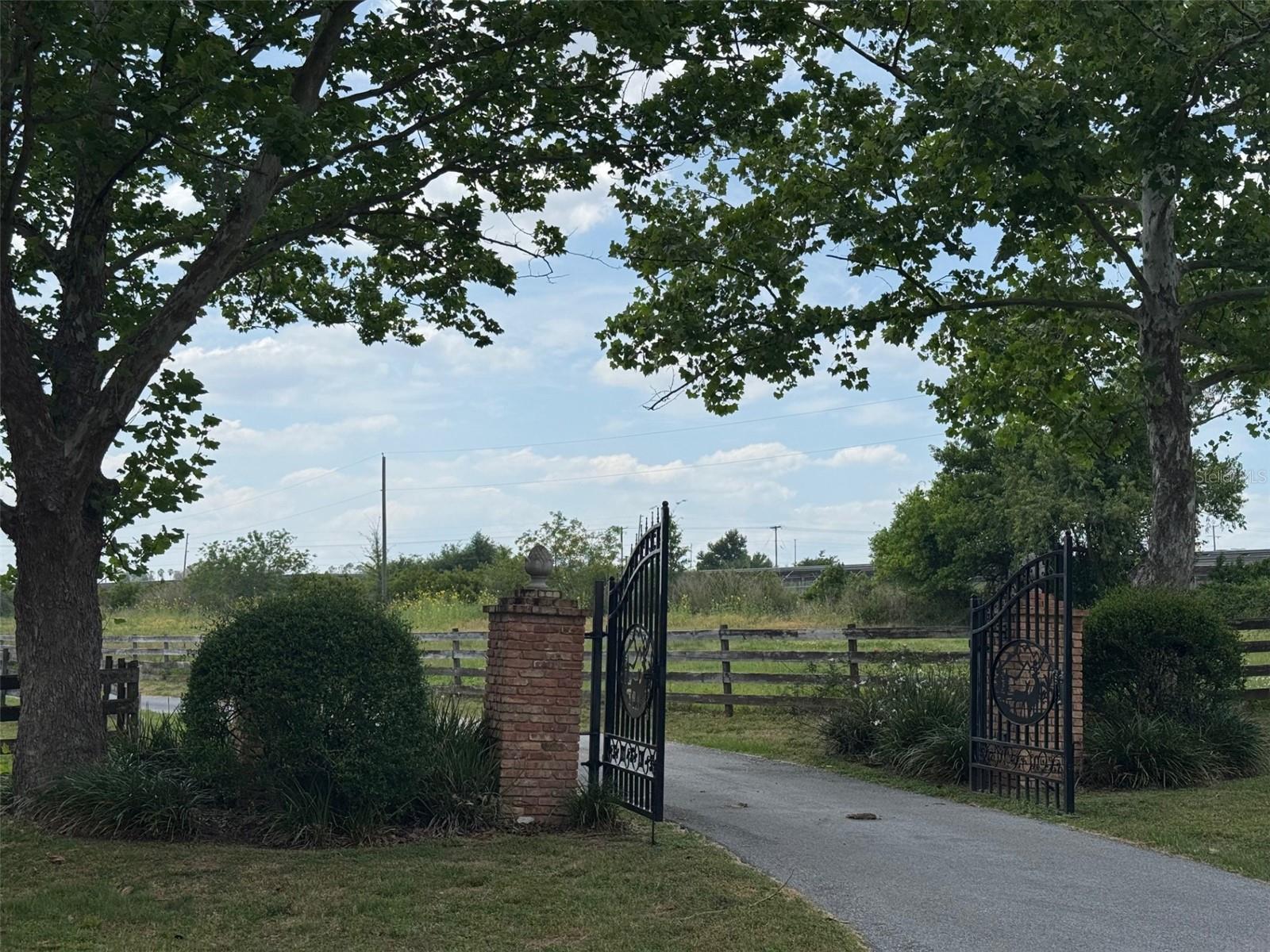 Listing photo id 29 for 36641 Blanton Road
