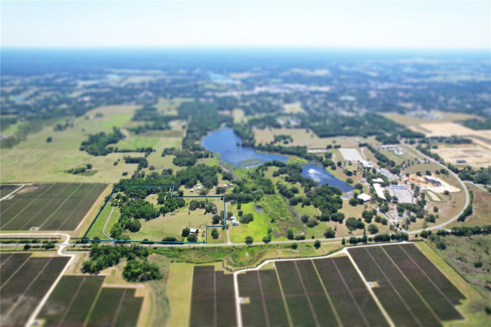 Listing photo id 3 for 36641 Blanton Road