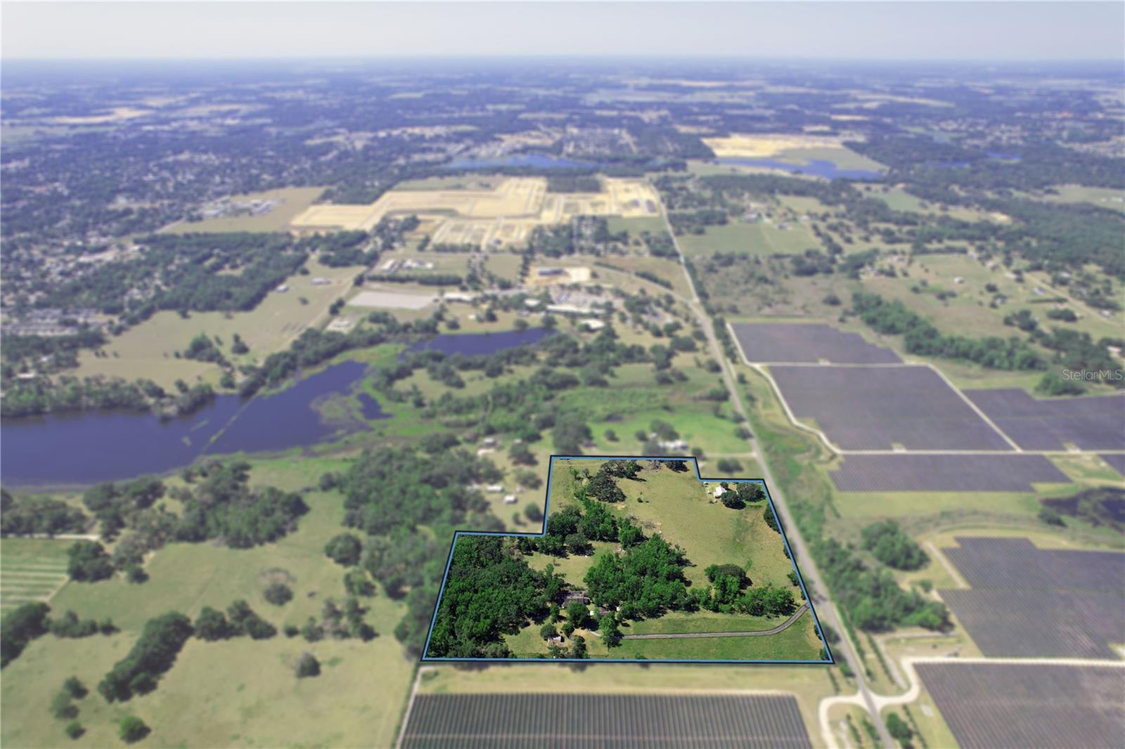 Listing photo id 4 for 36641 Blanton Road