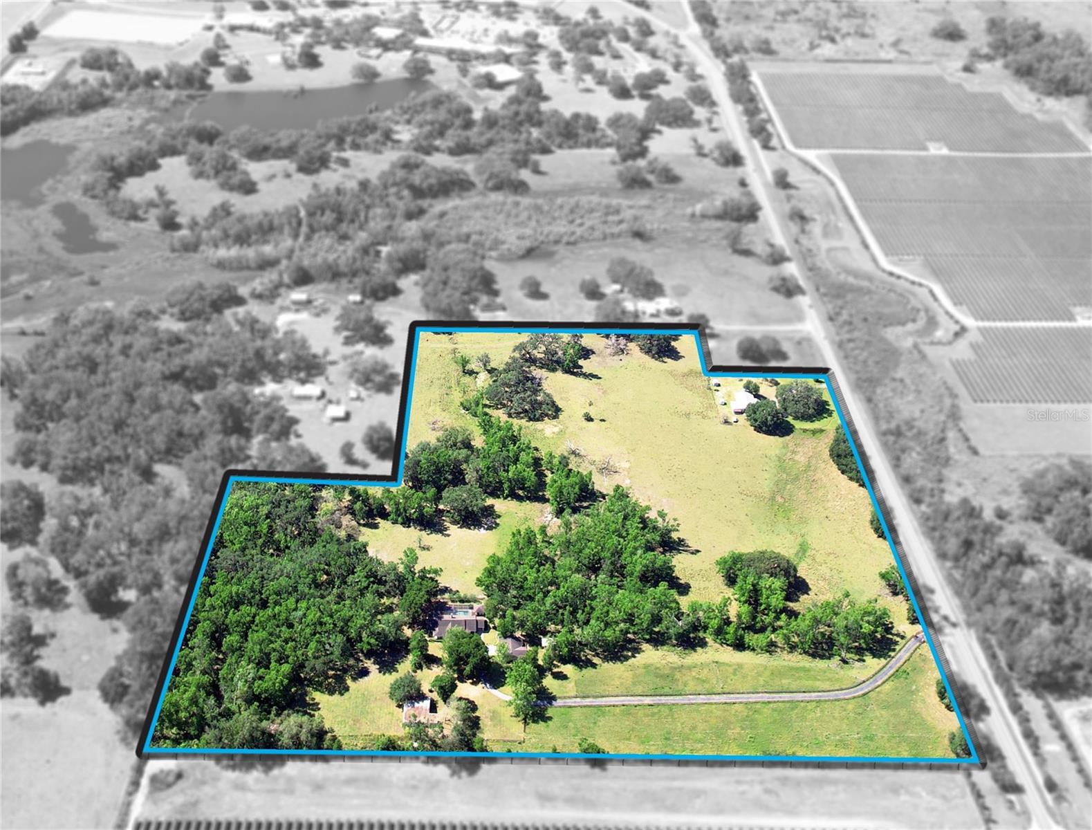 Listing photo id 5 for 36641 Blanton Road