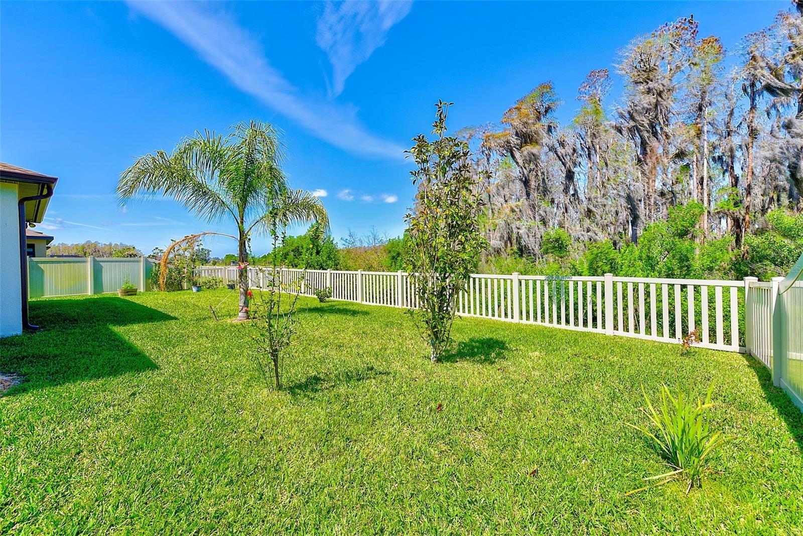 Image 47 of 61 For 11086 Sundrift Drive