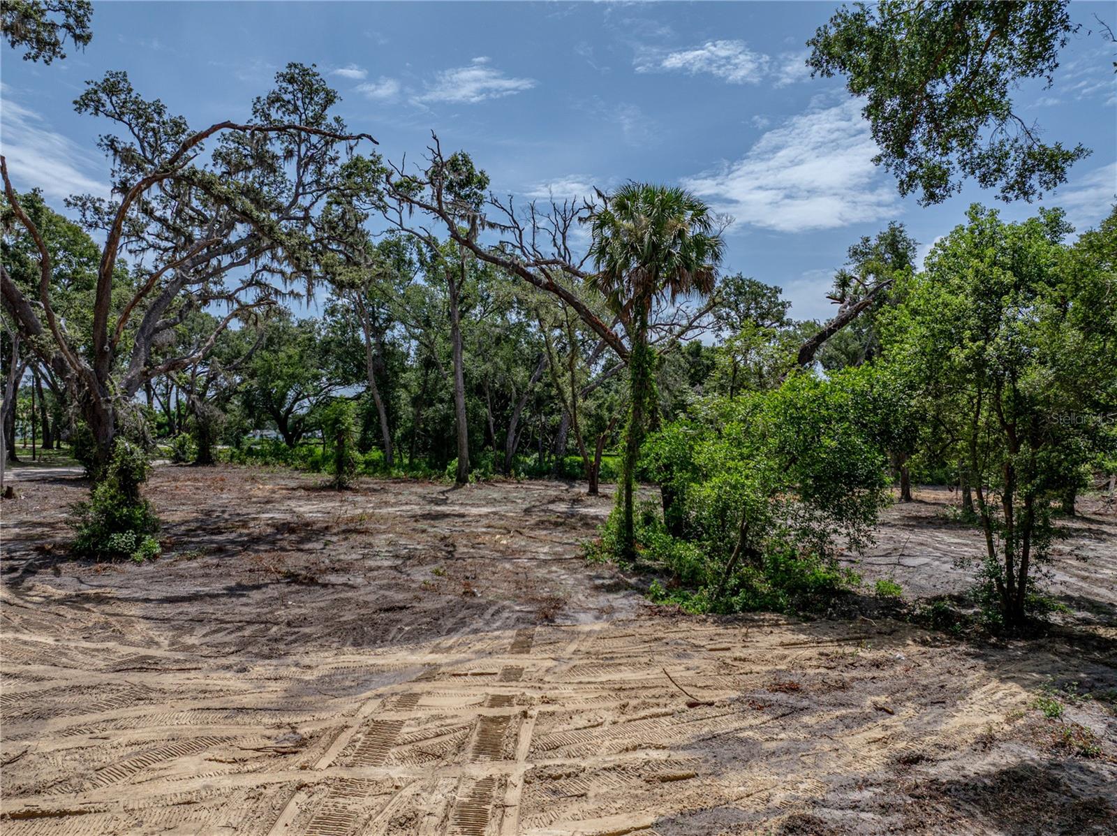 Image 41 of 66 For 0 Hwy 579  