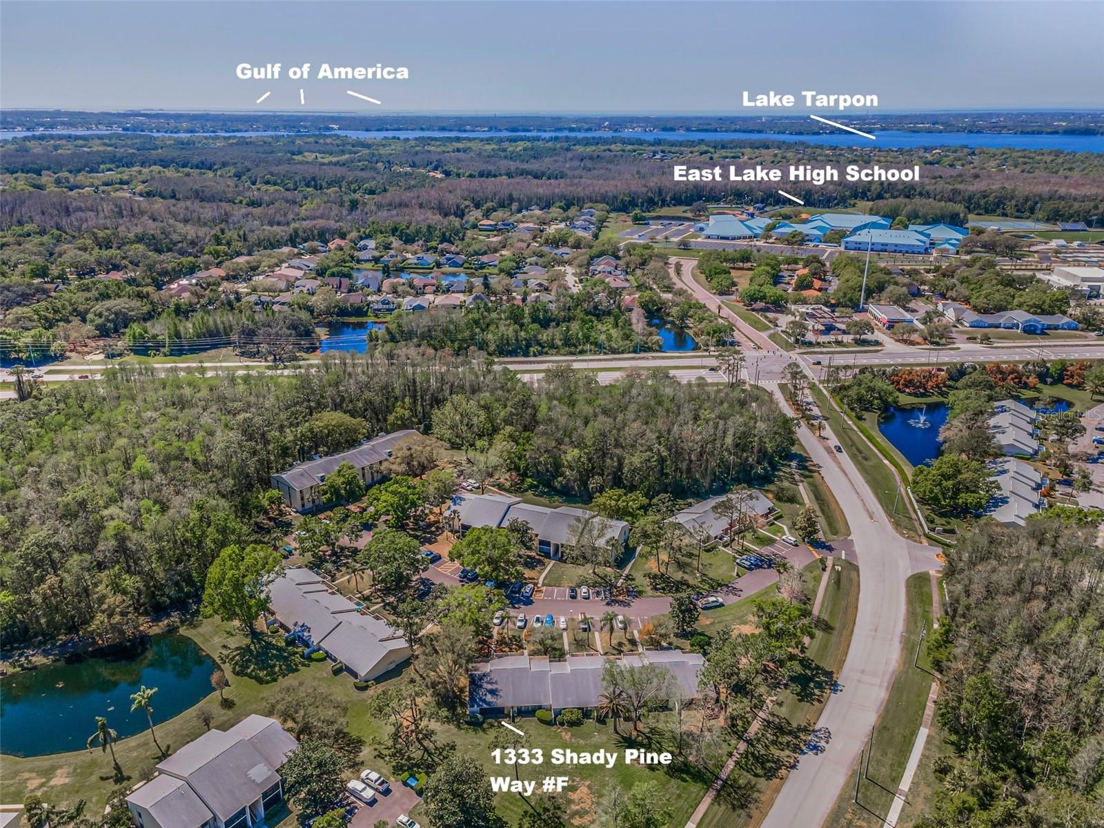 Listing photo id 39 for 1333 Shady Pine Way F