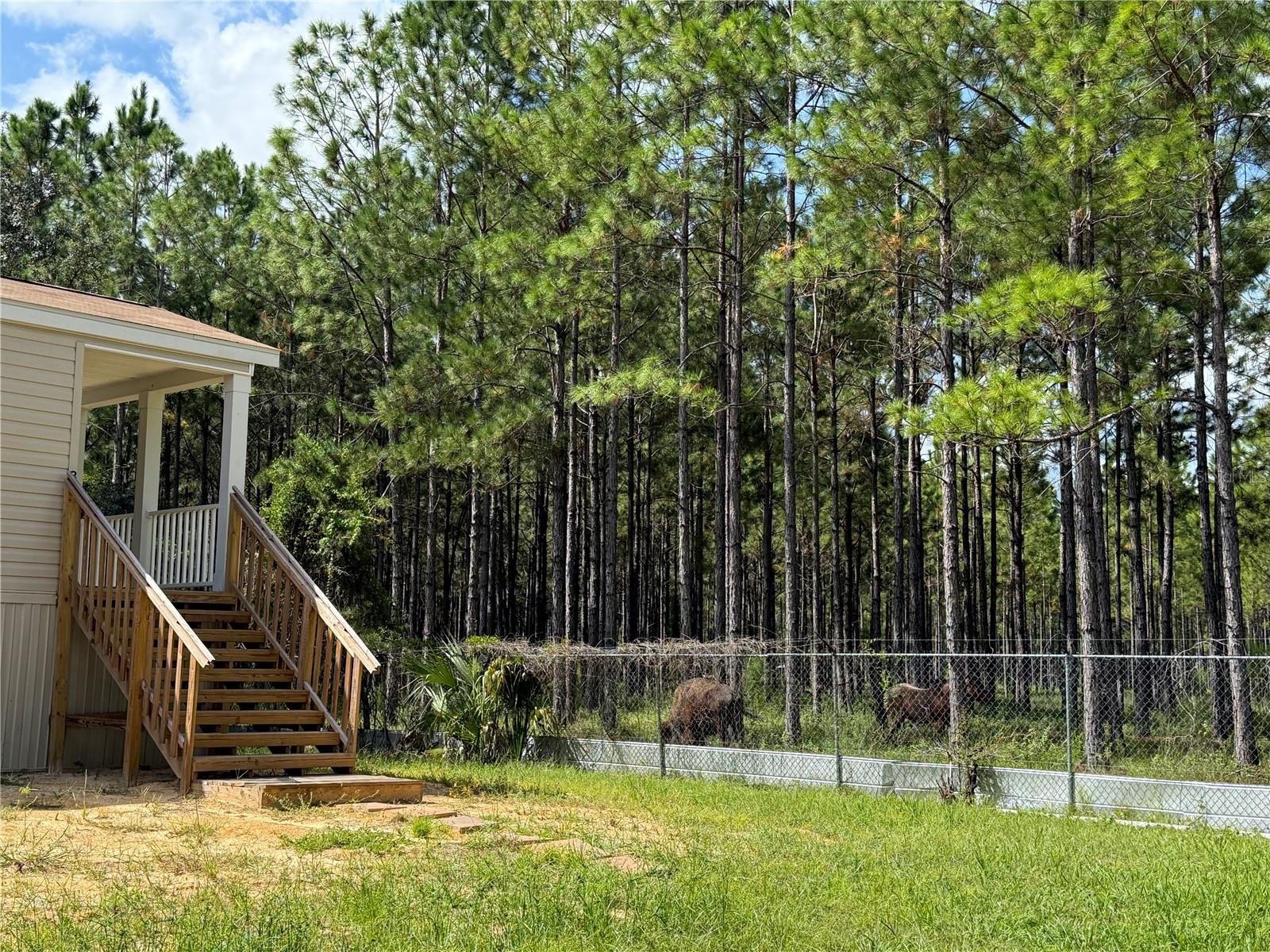 Image 41 of 44 For 8250 Fairoak Court