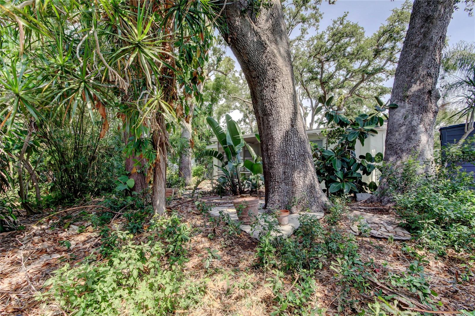 Image 35 of 39 For 10514 52nd Avenue N