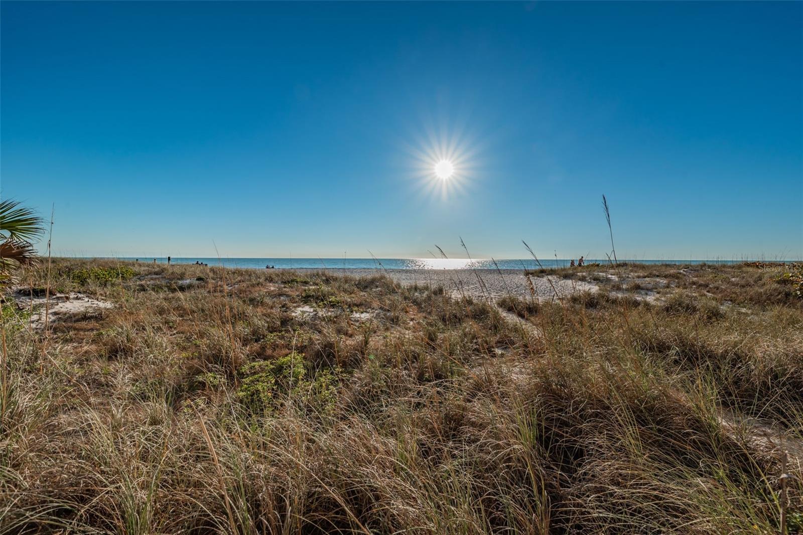 Image 36 of 47 For 13000 Gulf Boulevard 109