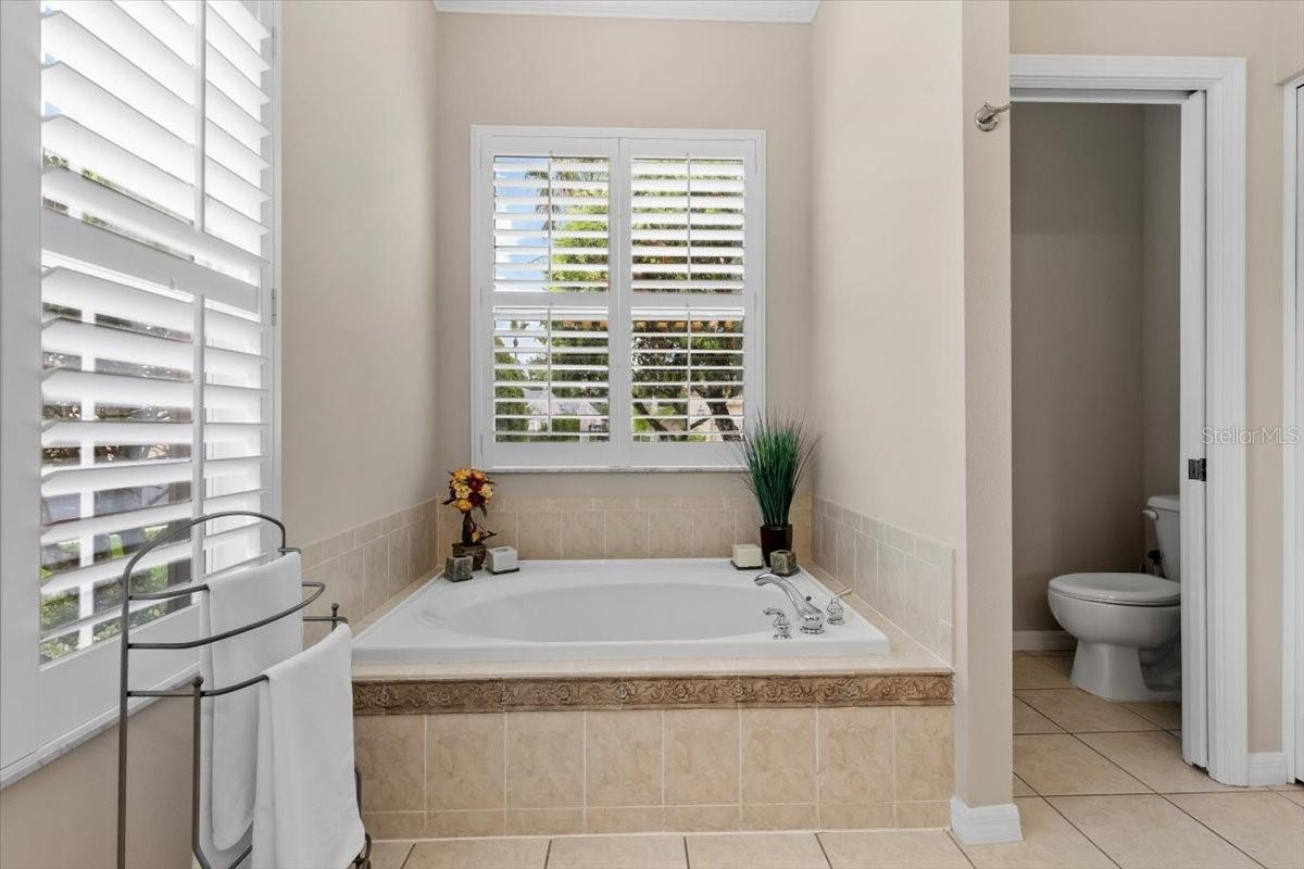 Image 17 of 100 For 26920 Winged Elm Drive