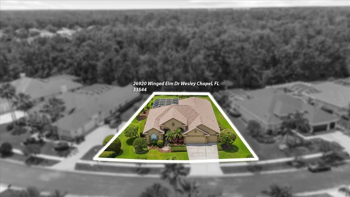 Image 73 of 100 For 26920 Winged Elm Drive