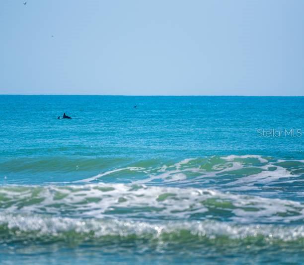 Image 50 of 55 For 615 Garland Circle